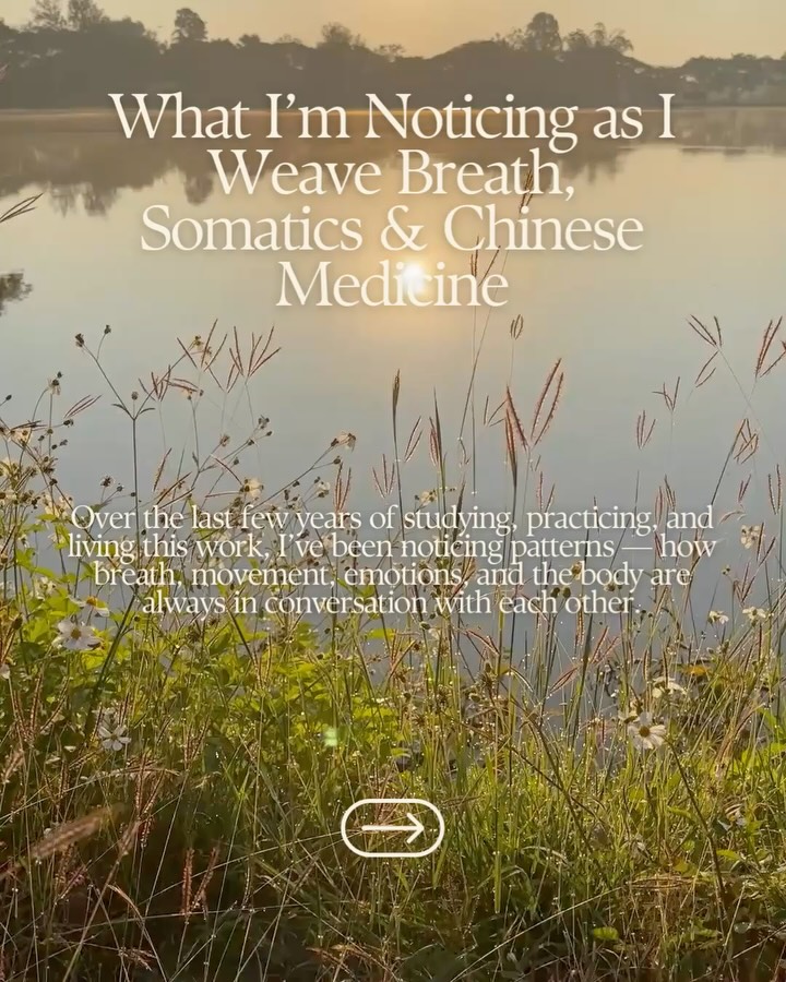 This past year has been about slowing down and doing less so I can understand my body and emotions more.
Studying Chinese Medicine alongside breath and somatic work has changed the way I see symptoms. They aren’t problems to fix-they’re messages to decode.
The five elements have been a framework that I’ve been connecting to in order to decode my body, my skin, my digestion, my nervous system, my energy.
This is part of what I’ve been learning and a glimpse into how I regulate and process. Slow breath. Gentle movement. Intentionally sitting still. Listening to my body and the signals.
I’m slowly reopening this part of my work—through retreats, workshops, and group spaces.
If it resonates and you want to learn more, stay tuned.
#somatichealing #energy #tcm #breath #qigong