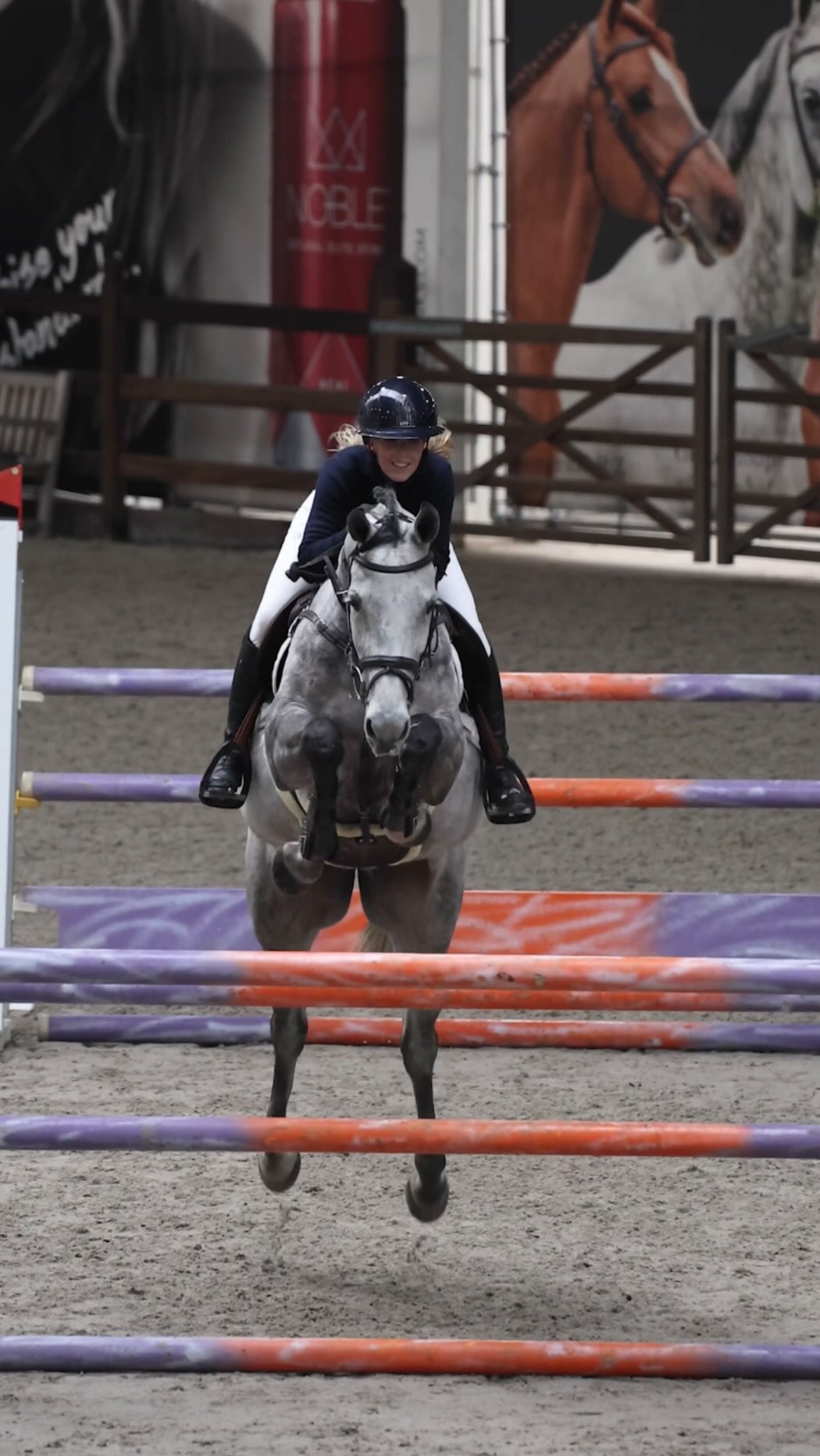 Do you enjoy winning? Listen up - ⭐️ RANORA ⭐️ has got you til 1.35 speed rounds. This super competitive mare is bh Dallas vdl. 16h1 1/2. Granddam and damline gave 160-170 horses, and lots of them. All very competitive horses. This one too. Freak of a front end. Virtually impossible to get a rail with her. Knows exactly where the top rail is. Won several 130 classes. Competitive in 135, could do 140 too. Lots of blood, takes you to the jump. Has no stop. To a fault. Would jump fire for her rider. Very easy lead changes. She’s a girl ride all the way, especially if you enjoy a bit of blood. She’s smart with a huge heart and a blast to ride. PM for info and all videos 💫