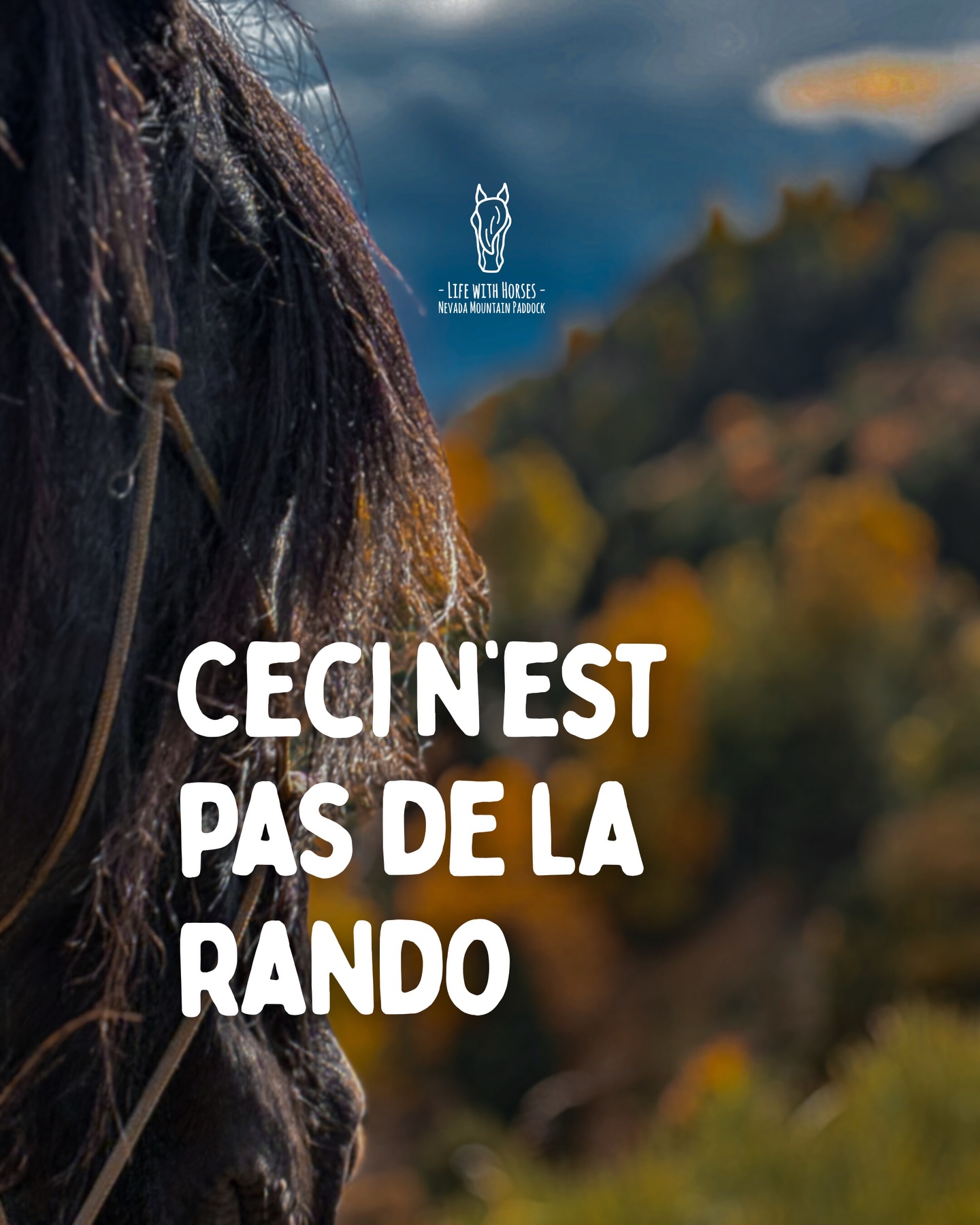 Notre idée du Voyage Immersif.
🇬🇧 Why we don’t do mass tourism — and never will.
We always ride with a maximum of 5 riders.
Because nature is not an amusement park,
and horses are not machines.
We don’t use our horses.
We listen to them.
Small groups mean
calm horses,
deeper connection,
a more personal experience.
More people means
more noise,
more stress,
more pressure.
That’s not what we seek when we travel in the mountains.
Here, silence is a luxury.
The sound of hooves on the rocks,
a breath in the wild air — nothing else.
When the group stays human-sized,
you don’t follow a crowd.
You follow the rhythm of the horses
and the rhythm of nature.
It’s better for the horses, for the land —
and honestly,
for you too.
We believe experiences should be intimate and real,
not processed, not manufactured.
That’s why we choose quality over quantity.
If you’re looking for a quiet, authentic, small-group horse experience in the wilderness,
you’re in the right place.
Now that you know our vision of immersive travel…
do you want to join us?
⸻
🇦🇩 Per què no fem turisme de masses — i no en farem mai.
Sempre sortim amb un màxim de 5 genets.
Perquè la natura no és un parc d’atraccions,
i els cavalls no són màquines.
No utilitzem els nostres cavalls.
Els escoltem.
Grups petits vol dir
cavalls tranquils,
una connexió més profunda,
una experiència més personal.
Més gent vol dir
més soroll,
més estrès,
més pressió.
No és això el que busquem quan viatgem a la muntanya.
Aquí, el silenci és un luxe.
El so dels cascos sobre la roca,
una respiració dins l’aire salvatge — res més.
Quan el grup és a mida humana,
no segueixes una multitud.
Segueixes el ritme dels cavalls
i el ritme de la natura.
És millor per als cavalls, per la natura —
i, sincerament,
per a tu també.
Creiem que les experiències han de ser íntimes i autèntiques,
no formatades ni transformades.
Per això hem escollit la qualitat abans que la quantitat.
Si busques una experiència eqüestre confidencial, autèntica i en petit grup,
al cor d’una natura salvatge,
ets al lloc adequat.
Ara que coneixes la nostra idea del viatge immersiu…
#horsetravel #ridewithconnection #cerdanya