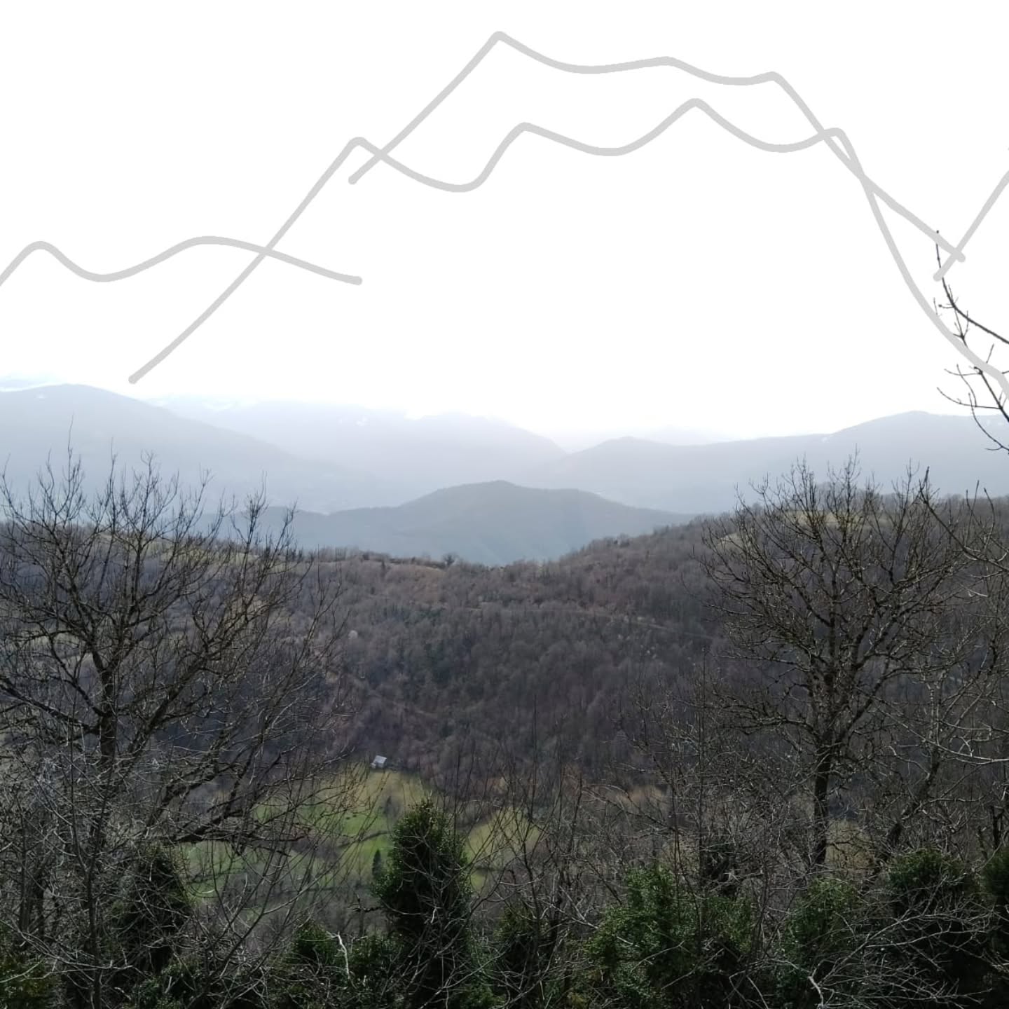 Entre deux bains aujourd'hui je suis allé manger mes sandwichs dehors, je voulais vous montrer une jolie photo mais c'est couvert, donc je vous ai dessiné les sommets enneigés, j'espère que vous apprécierez l'attention ❤️