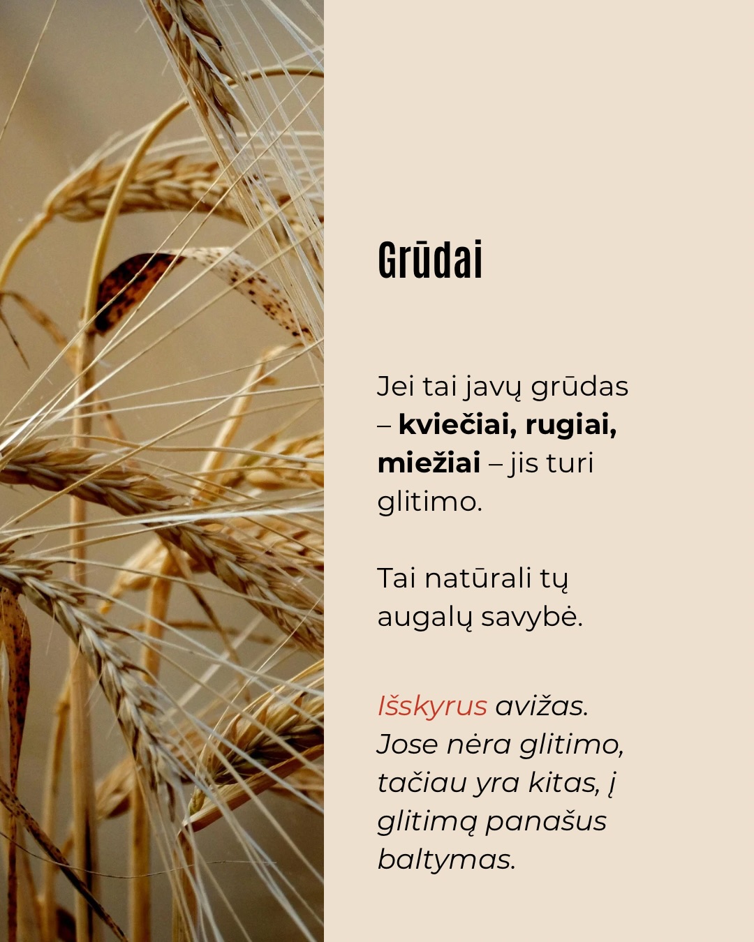 Karuselėje dalijamės labai paprastu būdu prisiminti, kurios kruopos turi gliuteno, o kurios – ne.
Sudomino? Sekite šią paskyrą, jei norite daugiau tokių patarimų ir receptų.