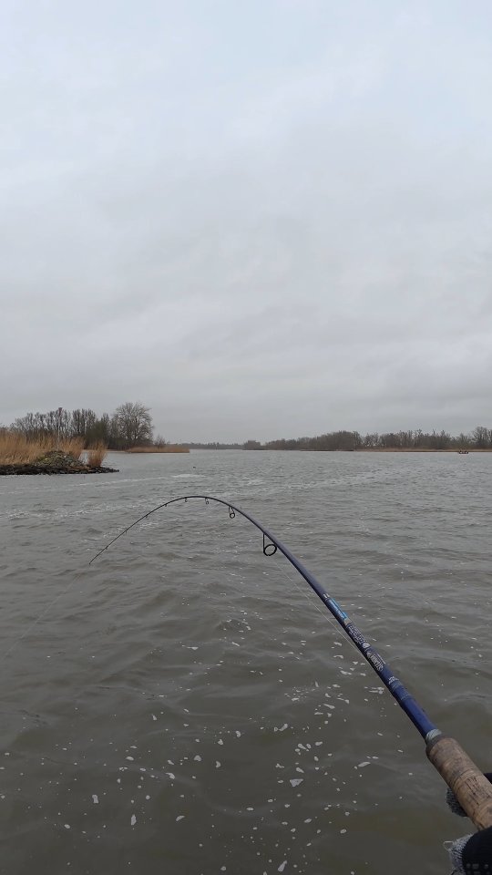 De aanbeet die niet uit kon blijven 💥
The strike you have been waiting for all day 💥
Dieser eine Biss, auf den du den ganzen Tag wartest 💥
#yamahaprofishing #batterylabs #stcroixrods #spro #delalandepeche