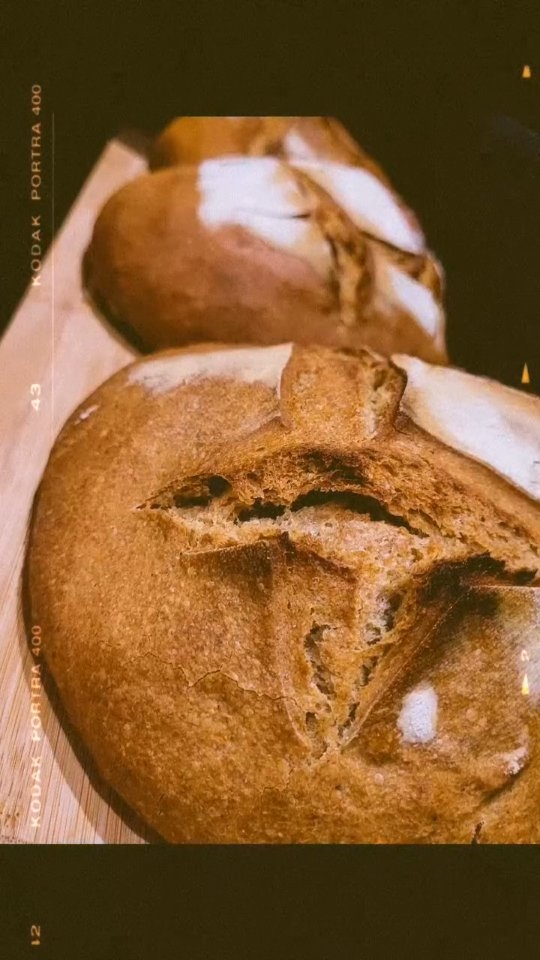 Au restaurant, le pain est souvent négligé parce qu’offert.
Ouvrir un restaurant sans penser au pain, c’est oublier la première chose que l’on pose sur la table.
Vous êtes nombreux à souligner la qualité de notre pain — preuve qu’il fait pleinement partie de l’expérience : accompagner, saucer et aller au bout de chaque assiette.
Nous travaillons avec la Boulangerie Restecp :
🌾 Blés de pays bio & variétés anciennes
💧 Eau filtrée
🧂 Sel de Batz-sur-Mer
💥 Levain naturel uniquement
👐 Pétrissage & façonnage à la main
⏳ Longues fermentations pour la digestibilité
🚫 Aucune farine industrielle
👉 Disponible aussi chez Lise Pile Poids – Épicerie Vrac à Saint-Donatien
#PainAuLevain #BlésAnciens #PainArtisanal #FarinesPaysannes #CuitLuCru Restecp ledétailquifaitladifférence pilepoids restecpbaker