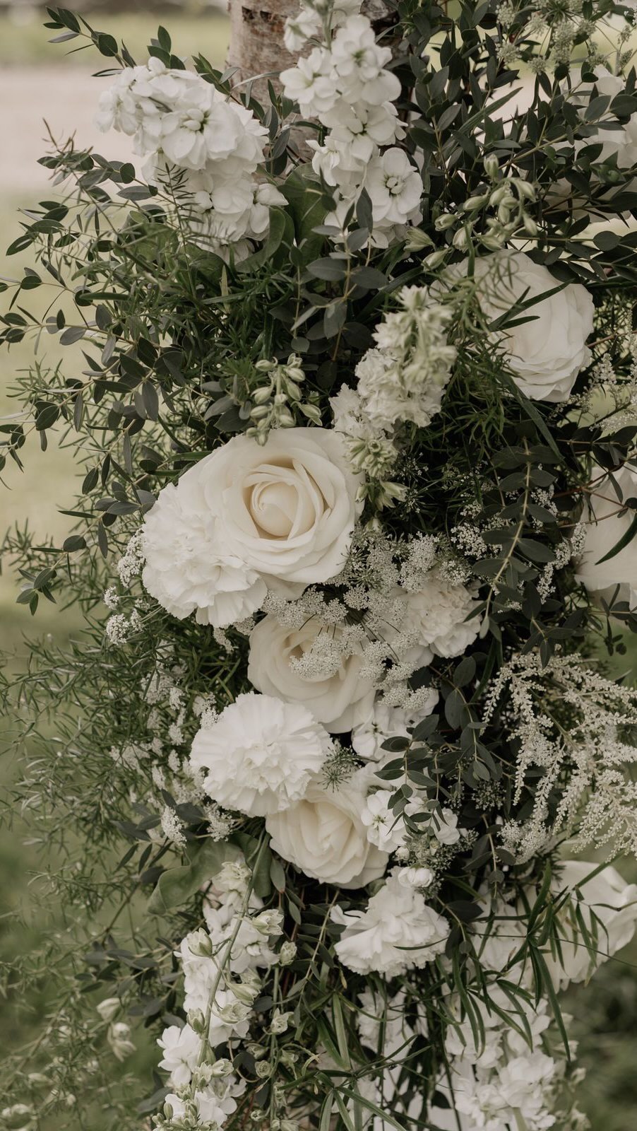 Wenn du dir grüne Akzente in deiner Floristik wünschst, aber keinen Eukalyptus magst, habe ich hier vier tolle Alternativen für dich 🤍
Und ganz wichtig: das ist kein Für oder Gegen Eukalyptus. In meinen Beratungen merke ich jedoch immer wieder, dass viele Paare keinen Eukalyptus mögen, aber gar nicht wissen, was für schöne Alternativen es gibt. Dann ist dieses Reel für euch 🫶
Ruskus hat ein sehr dunkles und gedecktes Grün und kleine filigrane Blätter. Er macht sich toll in Gestecken und passt perfekt zu zeitlosen Konzepten mit kühlen Tönen, aber auch zu Bordeauxrot und Orange.
Eukalyptus Parviola ist auch eine Eukalyptussorte, die viele aber gar nicht kennen. Parviola hat kleine Blätter und filigrane Zweige und passt wunderschön zu romantisch verspielten Konzepten.
Olive ist für mich ein classic und sieht traumhaft aus zu Konzepten mit warmen Farben, da auch Olive einen warmen Grünton hat.
Zierspargel ist mein Liebling und man sieht ihn auch eher selten. Er passt perfekt zu eleganten Konzepten, aber auch zu romantisch lockeren Gestecken.
Speicher dir dieses Reel unbedingt, wenn du dir eine Floristik ohne Eukalyptus wünschst 🫶
Und verrate mir in den Kommentaren, was dein Liebling ist.
Titelbild: @mic.heinig
Hochzeitsfloristik
Freie Trauung
Tischdeko
Brautstrauß
Hochzeitsdeko
Dekoverleih