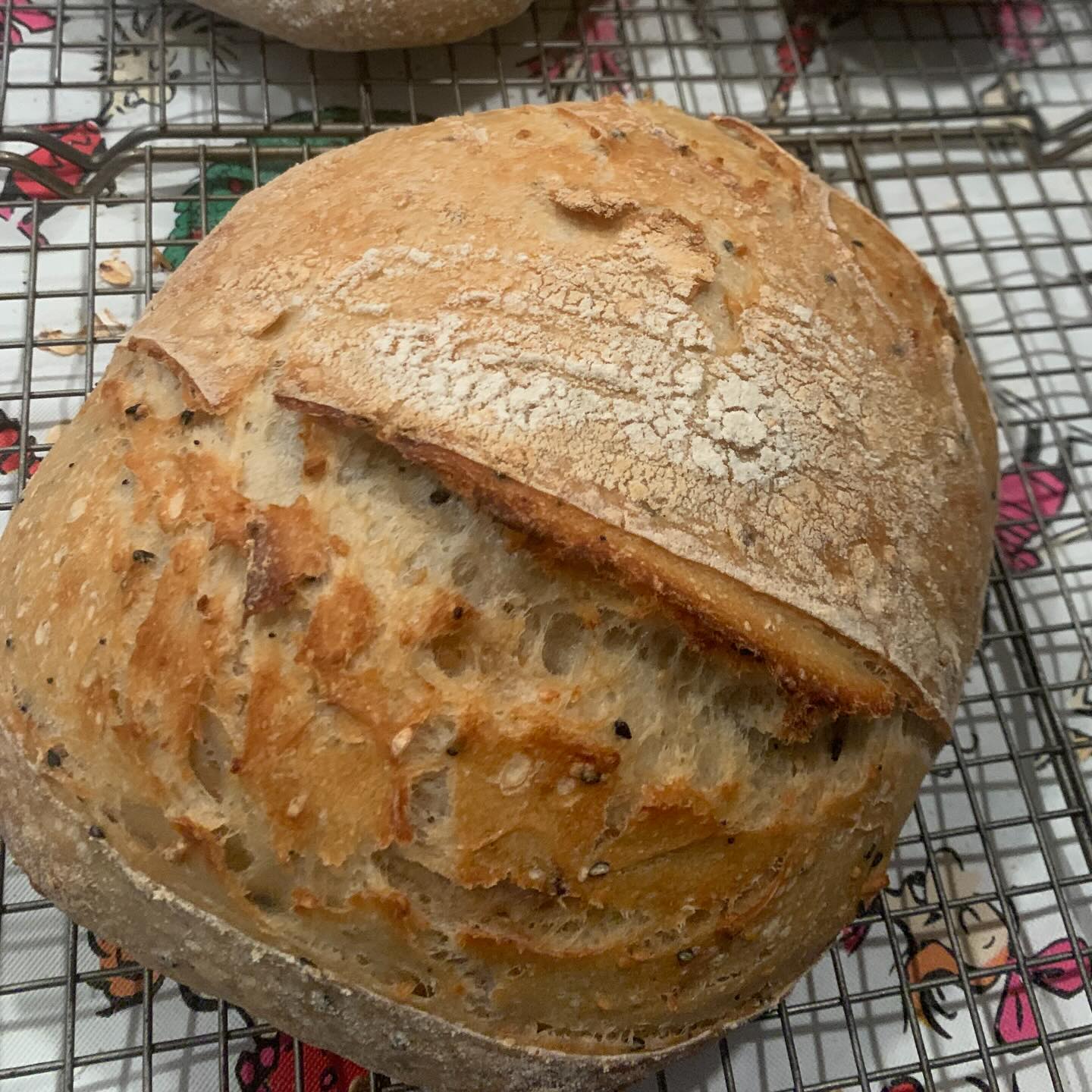🌾 Sourdough Is Real. And Real Means Imperfect Sometimes. 🌾
At Wild Eden Bakery, every loaf is naturally fermented and handmade with love. Because sourdough is alive (hello, wild yeast! ✨), sometimes a loaf can turn out a little more gummy than it should.
While I do everything I can to ensure quality, sourdough can occasionally surprise us — especially with weather, humidity, or fermentation timing.
If you ever cut into a loaf and it seems gummy or underbaked, please don’t hesitate to reach out 💛
📸 Send me a picture
🥖 I will replace it for FREE
Your trust means everything to me, and I stand behind every loaf I bake.
Thank you for supporting my small, home-based sourdough kitchen and allowing me to serve this community.
— Wild Eden Bakery 🌿
#sourdough #microbakery #rva #sahm #bakery
