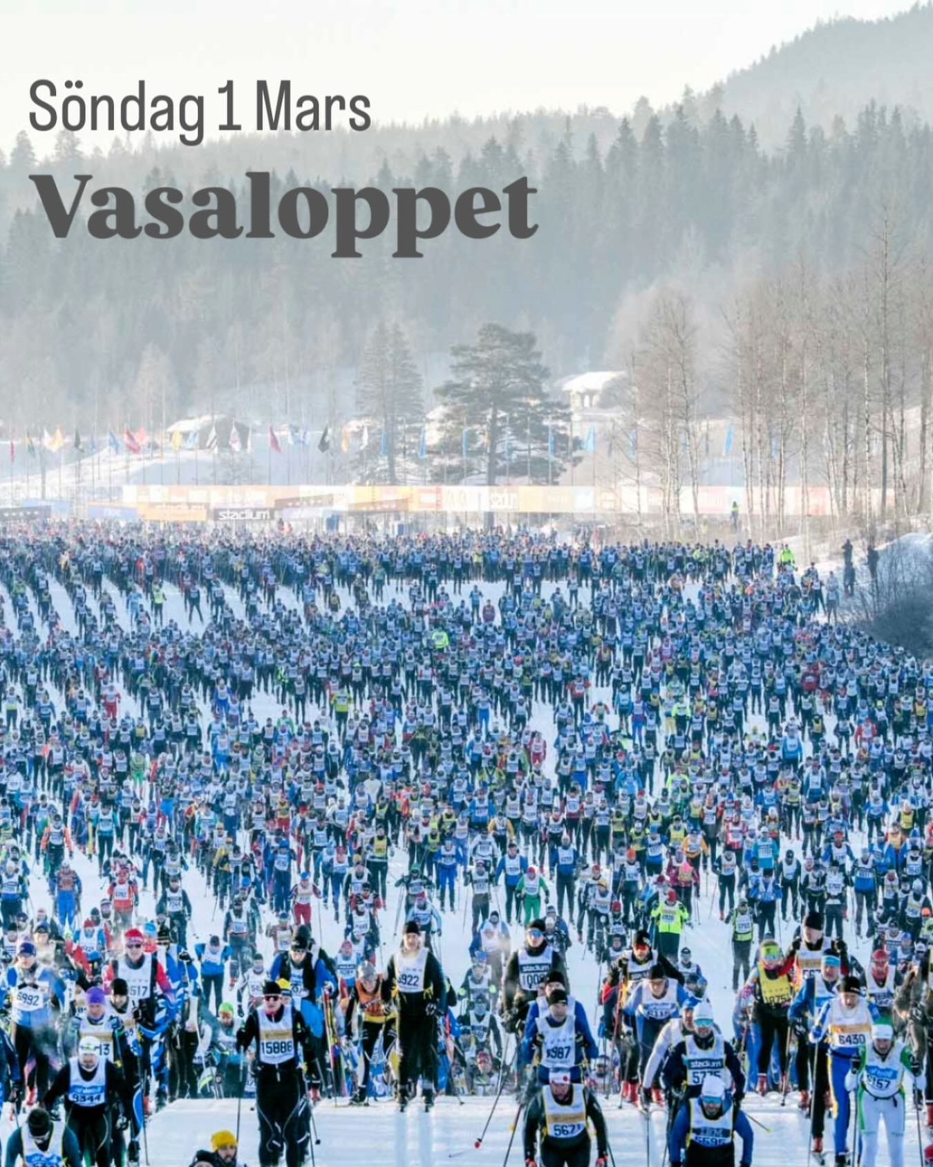 Vasaloppet🇸🇪
Vi är där! Säsongens stora höjdpunkt – det största och mest anrika långloppet
Med sina 90 km från Sälen till Mora är Vasaloppet det största och mest prestigefyllda loppet man kan vinna som långloppsåkare 🎿🏆
Ni följer oss som vanligt på SVT📺
@gohlins @klubbenbygohlins @eabdethaller @hangonab @thule @hestragloves @hestrainredningarab @garoplatprodukter @garosverige @isabergstoppen @axelent_sverige @everbrandswedenab @ehconnector @eleikosport @gnosjoror @gnosjoandan @visitgnosjo @atomicnordic @leki.nordic @umarasports @aerollerskis @firmakjsa @wilsoncyclingab