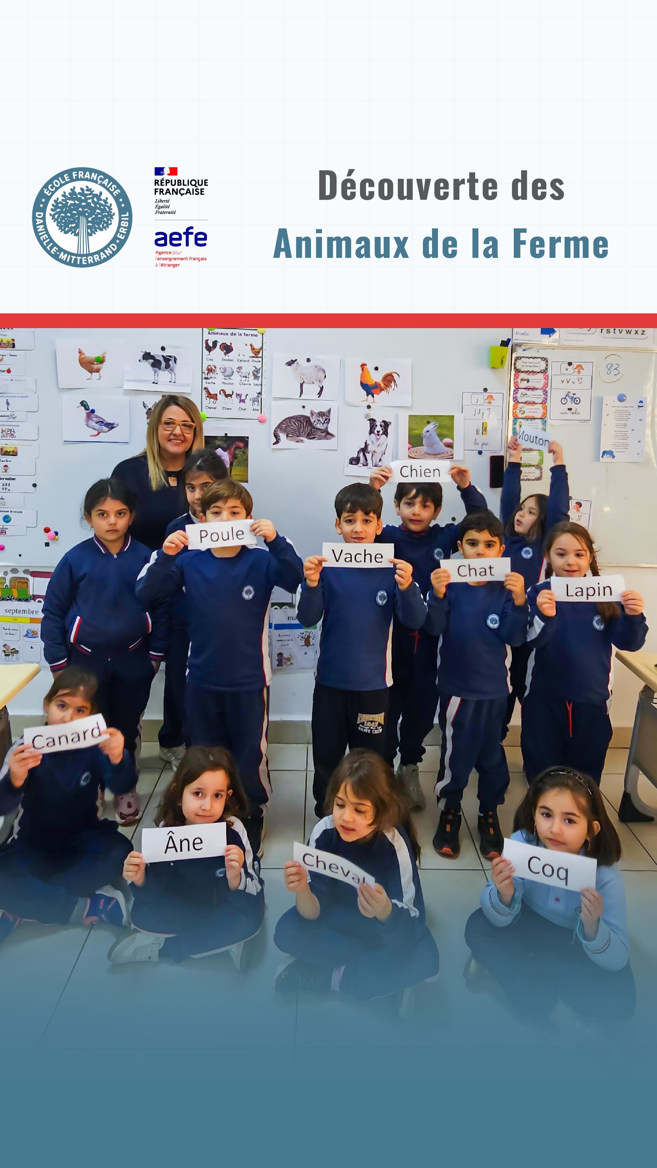 Dans cette activité, nos élèves de CP apprennent à reconnaître les animaux de la ferme tout en développant leur langage et leur connaissance du monde.
-
In this activity, our first-grade students learn to recognize farm animals while developing their language and knowledge of the world.
-
لەم چالاکییەدا، قوتابیانی پۆلی یەکەممان فێری ناسینەوەی ئاژەڵە کێڵگەییەکان دەبن لە هەمان کاتدا پەرە دەدەن بە زمان و زانیاری خۆیان لەسەر زانست.
-
في هذا النشاط، يتعلم طلاب الصف الأول التعرف على حيوانات المزرعة بينما يطورون لغتهم ومعرفتهم بالعالم.