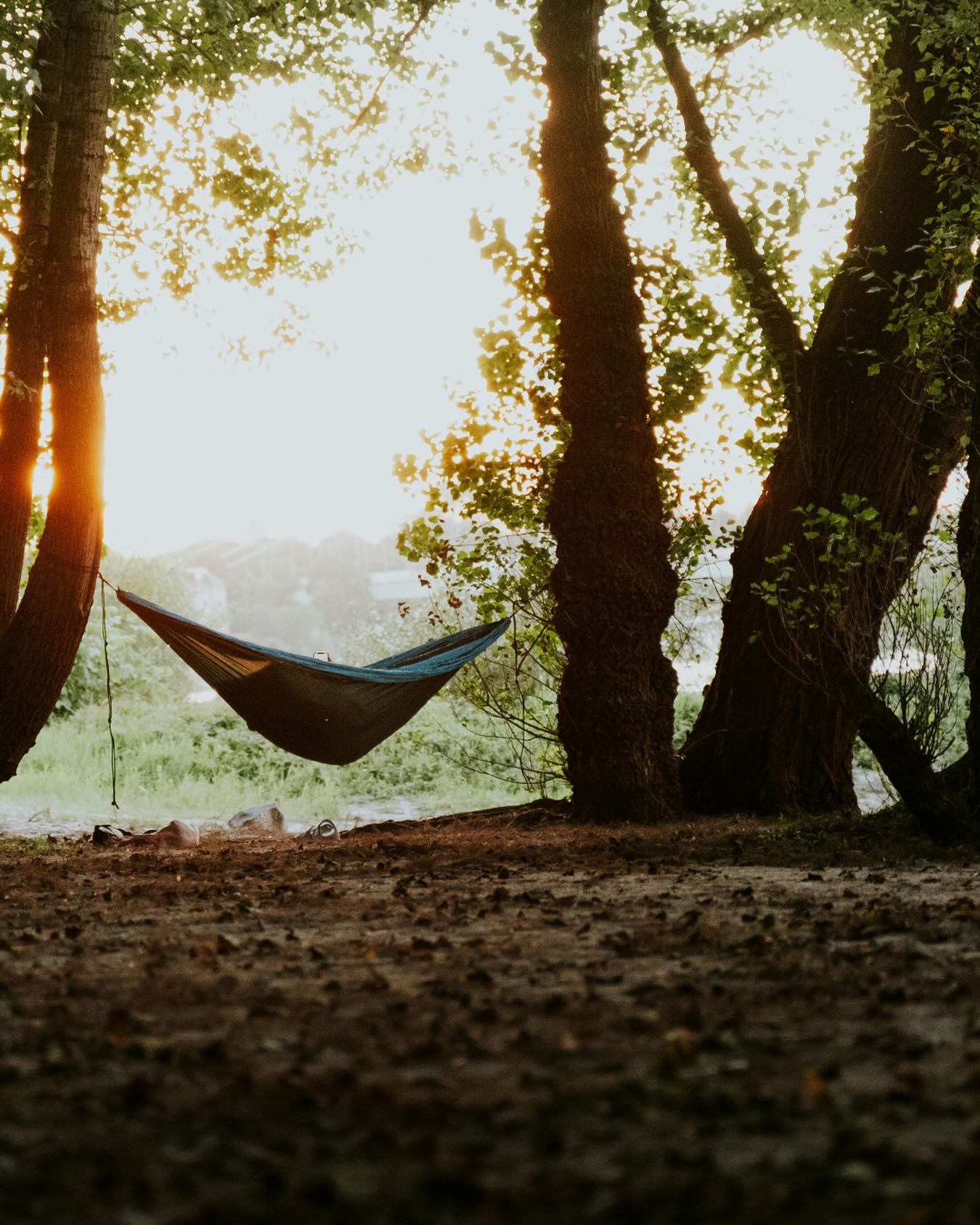 But what does “counselling beyond the couch” even mean?
This. 👆
Mark my words: hammocks will have a non-hostile, very welcome takeover of the Knol Haus forest.