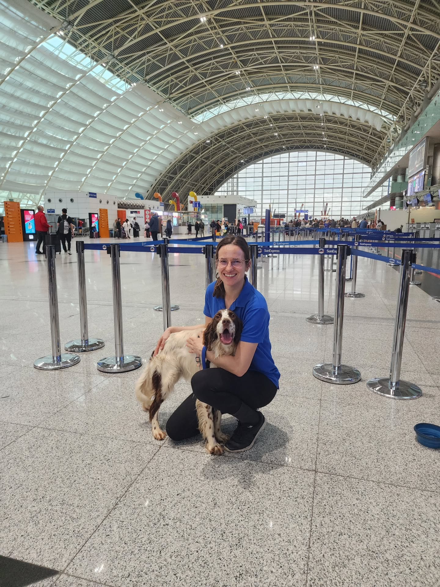 A new life for Perry ✨️
Today lucky Perry got to fly to a better life in the Netherlands!
Perry came to us last summer, after a rescuer from the North of Turkey reached out to us desperate for help for dogs stuck in their local government shelter. In a conservative part of Turkey where dogs aren't always treated kindly, these dogs were stuck in an overcrowded government shelter without any hope of a better life.. Perry was one of 6 dogs that made the long journey from the other side of Turkey to us. We don't know anything about Perry's past, but it is likely that he is a hunting dog that was abandoned because he wasn't good at hunting. Perry has is a sweet, soft-natured dog, and it is difficult to imagine how he survived in the harsh conditions that hunting dogs are kept in in Turkey. He was in a terrible state when he arrived: he was desperately thin and had terribly matted fur. But despite everything, Perry was so happy and grateful to be safe.
Now he gets to be safe, cared for, and loved for the rest of his life! All the best sweet Perry, be happy!