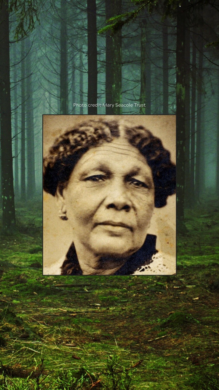 🌿 Rooted in Her Hands is a Black Woman Plant Chronicles series honouring the Black herbalists and plant keepers whose wisdom shaped our survival and our joy.
This episode shares the story of Ms. Mary Seacole, the Jamaican nurse and wartime healer whose plant-based remedies and fearless compassion carried her from Kingston to the front lines of the Crimean War. She cared for soldiers others refused to treat, guided by the herbal knowledge passed down through generations.
If you’re ready to explore this herbal legacy with me, meet me on YouTube.
The roots are deep and the stories are powerful.
#RootedInHerHands
#BlackWomanPlantChronicles
#BlackHistoryMonth2026