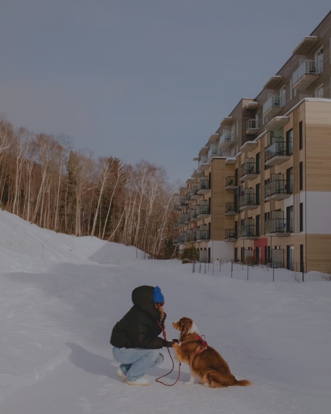 Good news for dog lovers 🐾
Your four-legged companion is welcome at Club Med Vittel Ermitage (May 10–July 5 & Aug 30–Oct 18, 2026) and Club Med Pragelato Sestrière (July 4–Aug 29, 2026).
At Club Med Québec Charlevoix, dogs can join you for a mountain escape this Spring & Summer (Jan 23–Apr 11, May 15–June 19 & Aug 28–Oct 12, 2026).
Cozy basket, welcome treat, and forest or mountain walks.. because vacations are better together.
*Additional cost applies, select room categories, and minimum stay: 2 nights