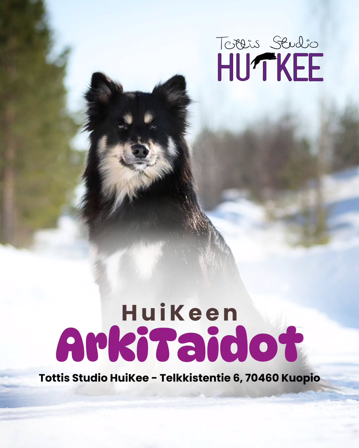 ✨️ HuiKeen ArkiTaidot ✨️
Kurssi tarjoaa tasapainoa, varmuutta ja parempaa yhteiseloa.
💜 Maaliskuussa alkamassa
▫️ 8.3 alkaen 4 kertaa
▫️ Sunnuntaisin klo.15-16
▫️ Ohjaa Sofia @tmisofiamartikainen
▫️ Hinta 128€
▫️ HuiKeen hallilla Kuopion Kelloniemessä Telkkistentie 6, 70460 Kuopio
🔹️ Ilmoittaudu mukaan
www.tottisstudiohuikee.fi
HuiKee ArkiTaidot kurssi on suunnattu jo aikuisille koirille, jotka kaipaavat tukea arjentaitoihin, rauhoittumiseen, selkeisiin rutiineihin tai parempaan yhteistyöhön omistajan kanssa. Kurssi sopii niin uusille koiranomistajille kuin kokeneemmillekkin, jotka haluavat vahvistaa koiran perustaitoja tai sujuvoittaa haastavia tilanteita.
ArkiTaidot keskittyy käytännön taitoihin, jotka helpottavat elämää sekä kotona että kodin ulkopuolella. Kurssilla harjoitellaan selkeitä, arkea palvelevia taitoja.
Harjoitteet tehdään koiralähtöisesti ja positiivisin menetelmin, jolloin koiran motivaatio, oppiminen ja hyvinvointi kulkevat käsi kädessä. Kurssi antaa omistajalle selkeät työkalut, joilla arjen haasteet muuttuvat hallittaviksi ja yhteistyö koiran kanssa vahvistuu luonnollisesti.
Lämpimästi tervetuloa mukaan! ❤️✨️
--------‐---------------
✨️ HuiKeen HarrastusPolku ✨️
~ Pohjataidoista kisakentille - yksilöllisesti ja varmasti ~
HuiKee HarrastusPolku on suunniteltu koirakoille, jotka haluavat rakentaa harrastamista pitkäjänteisesti, koiralähtöisesti ja tavoitteellisesti. Kurssit muodostavat selkeän etenemisen aina perustyöskentelystä lajikohtaiseen treeniin ja kilpailuvalmiuteen asti.
HuiKeella uskomme, että vahva pohja on kaiken tekemisen ydin: motivaatio, yhteistyö, selkeä kommunikaatio ja koiran tunnetilan huomioiminen. Kun nämä ovat kunnossa, harrastaminen on sujuvaa, kehittävää ja ennen kaikkea hauskaa!
HarrastusPolkuun pääset tutustumaan lisää kotisivuiltamme!
#tottisstudiohuikee #koirankoulutus #koirakoulukuopio #Kuopio #koirahalliKuopio