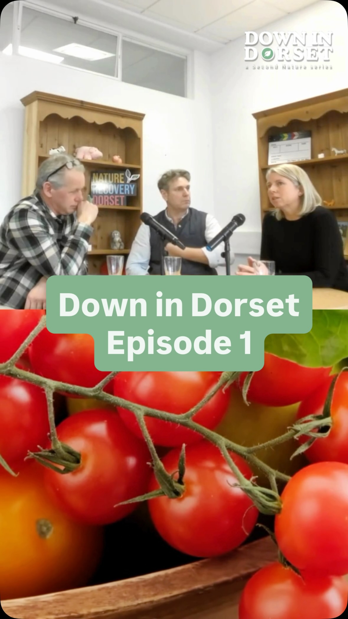 The Down In Dorset mini series is back tomorrow so don’t forget to catch up on episode one if you haven’t already 👏
Set your alarms for tomorrow morning ⏰
Big thanks to @dorsetcounciluk for the support 👏
#downindorset #dorset #nature