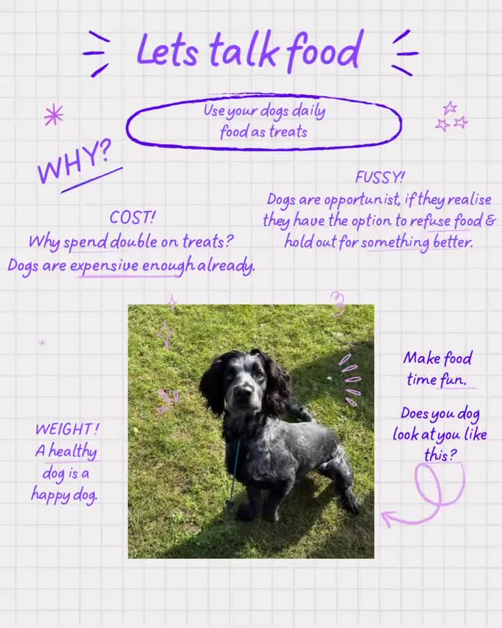 Ever wondered why your dog’s behaviour seems *off* lately?
It might not be training… it could be their **diet**.
Cheap dog food is often packed with **sugar, grains, and fillers** — ingredients that can mess with your dog’s energy and mood.
Just like kids, when dogs eat junk, you’ll see it:
They get **hyper**, **unfocused**, or even **grumpy**.
A balanced diet with real meat, good fats, and fewer fillers can make a *huge difference* — calmer energy, better focus, and a happier dog. I can reccomend some really good food to help weight loss and diet!
So next time your pup’s acting out…
Don’t just think *training* — think *nutrition*! 🐾💚
#dogbehaviourtraining #publictraining #dogtraininguk #reactivedog #puppytraining #happypuppy #puppytrainingtips #dogbehaviour #dogtrainer #DogTrainer #DogTraining #DogBehaviour #BalancedTraining #TrainingTips
