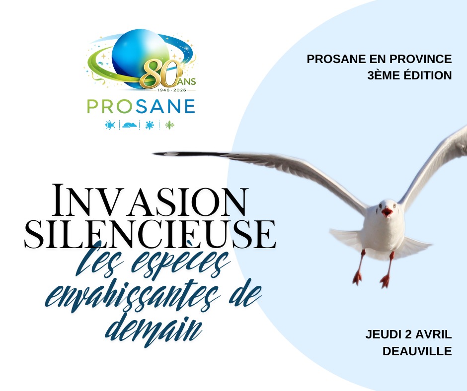 🌊 Et si les espèces envahissantes de demain étaient déjà à nos portes ?
Le 2 avril prochain, à Deauville, PROSANE vous donne rendez-vous pour une journée pas comme les autres.
Une journée pour prendre de l’avance, croiser les regards scientifiques et terrain, et mieux comprendre les espèces envahissantes qui redessinent déjà nos équilibres.
🎯 Globalisation et nouvelles dynamiques d’introduction
🐜 Insectes sociaux : fourmis, frelons, termites
🦗 Triatomes et enjeux sanitaires émergents
🐦 Oiseaux et cohabitations complexes
🧠 Regard sociologique sur notre perception des espèces envahissantes
Pour cette édition de Prosane en Région, nous aurons le plaisir d’accueillir une large partie de notre Comité Scientifique, Technique et Règlementaire (CSTR), aux côtés d’intervenants reconnus et passionnés.
💬 Au-delà des conférences, cette journée se veut interactive et conviviale : échanges, retours d’expérience, cocktail déjeunatoire et moments informels pour créer du lien entre professionnels.
👉 Événement ouvert à tous : adhérents, non adhérents, partenaires, acteurs de terrain ou simplement curieux du sujet — vous êtes les bienvenus.
⚠️ Attention : il ne reste plus que quelques places !
Ne tardez pas à vous inscrire : https://lnkd.in/eeiNGPSC
#Prosane #ProsaneEnRégion #EspècesEnvahissantes #SantéPublique #Biodiversité #Deauville #ÉvénementProfessionnel