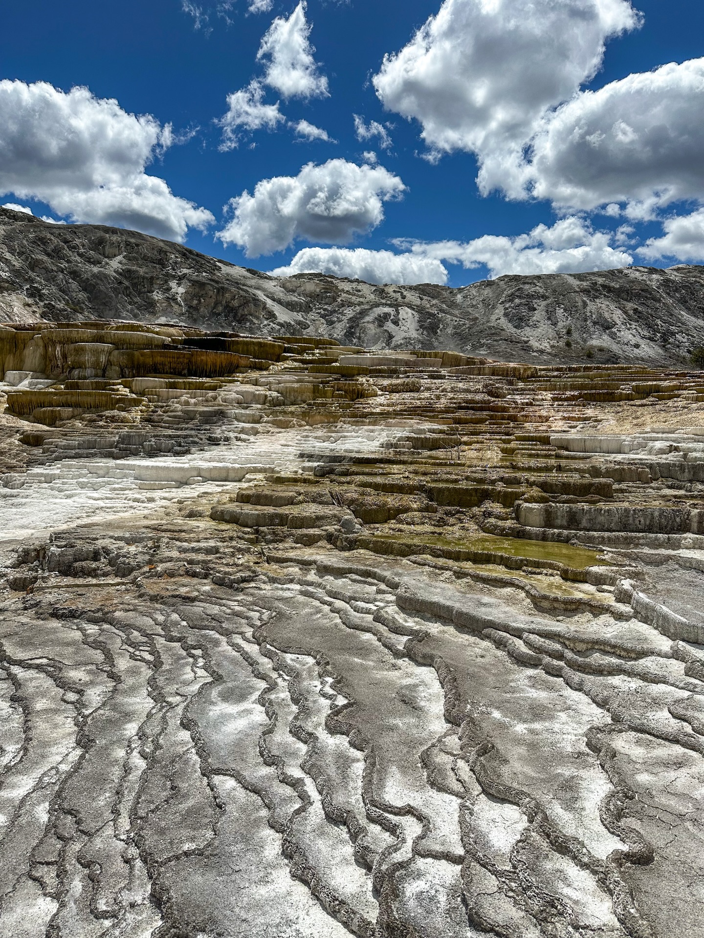 Some areas of @yellowstonenps seriously feel like another planet 🤯
Have you visited Yellowstone?
.
.
.
#ThatsWY #WyomingLife #WYO #YellowstonePledge