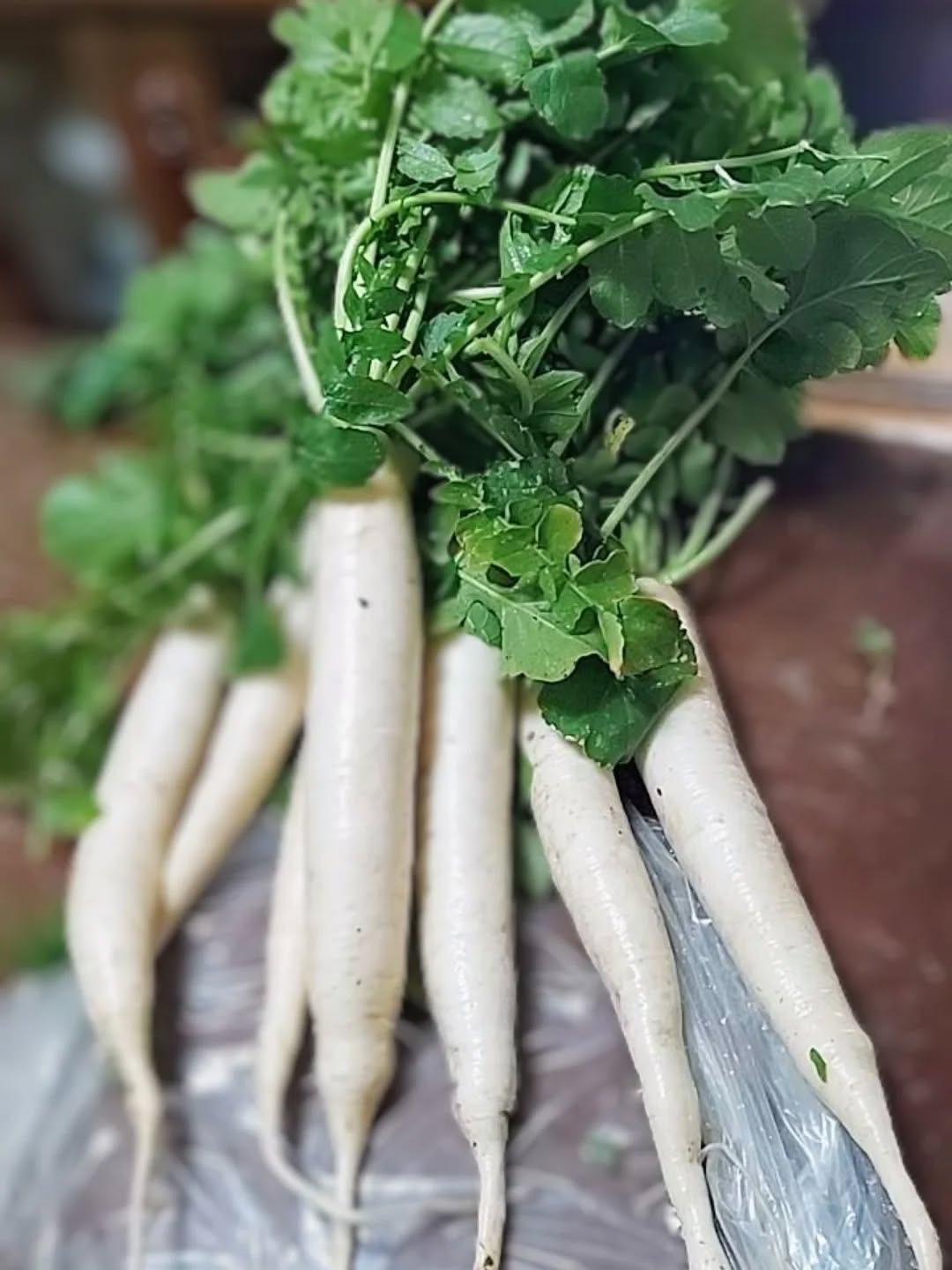 ♡三浦で大根収穫♡
種から特肥「野菜のおやつ」のみで
栽培した大根!土地自体に深さが
余り無い場所で、嵩上げもしてない
のですが、花芽が伸びだしたので
収穫しちゃったようです!(^-^)/
太さは細く見えますが、長さは◎!
この緑色の濃いワサワサの葉っぱ!
当然、葉っぱは炒めて食べたそう!
そのくらいの役得は無いとね✌
虫食いもされずに見事✌❤
特肥「野菜のおやつ」は、
BASE SHOPと当店HPにて展開中!
肥料販売登録取得済の安心商品!
「元気な土には
元気な作物が出来る!」✌✌✌
#特殊肥料登録済
#液肥 #特殊納豆菌 #自然由来素材へのこだわり #堆肥