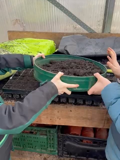 💪Wir haben wieder Besuch von einer Schulklasse! To do: Erde in die Anzuchtplatten, Samen der Kapuzinerkresse (rote Sonnenblume) in die Erde legen, Erde rübersieben, Schild schreiben und angießen. In ein paar Wochen wiederkommen und Kapuzinerkresse auf dem Hof finden oder für zu Hause eine Pflanze kaufen 😉. Dies ist ein Ernährungsprojekt mit @gelbetomaten. Und Kater Kalli ist ein Garant zur Begrüßung und Brotdosenkontrolle. Steckt da auch ein gesundes, müllfreies Frühstück drin🤔?
Möchtet ihr auch mit eurer Klasse kommen? Wir entwickeln gerne mit euch zusammen ein schönes Programm, je nach euren Schwerpunkten. Wir haben vielfältige Möglichkeiten.
Schreibt an info@hofandenteichen.de
.
Fotos: @sandradra2018