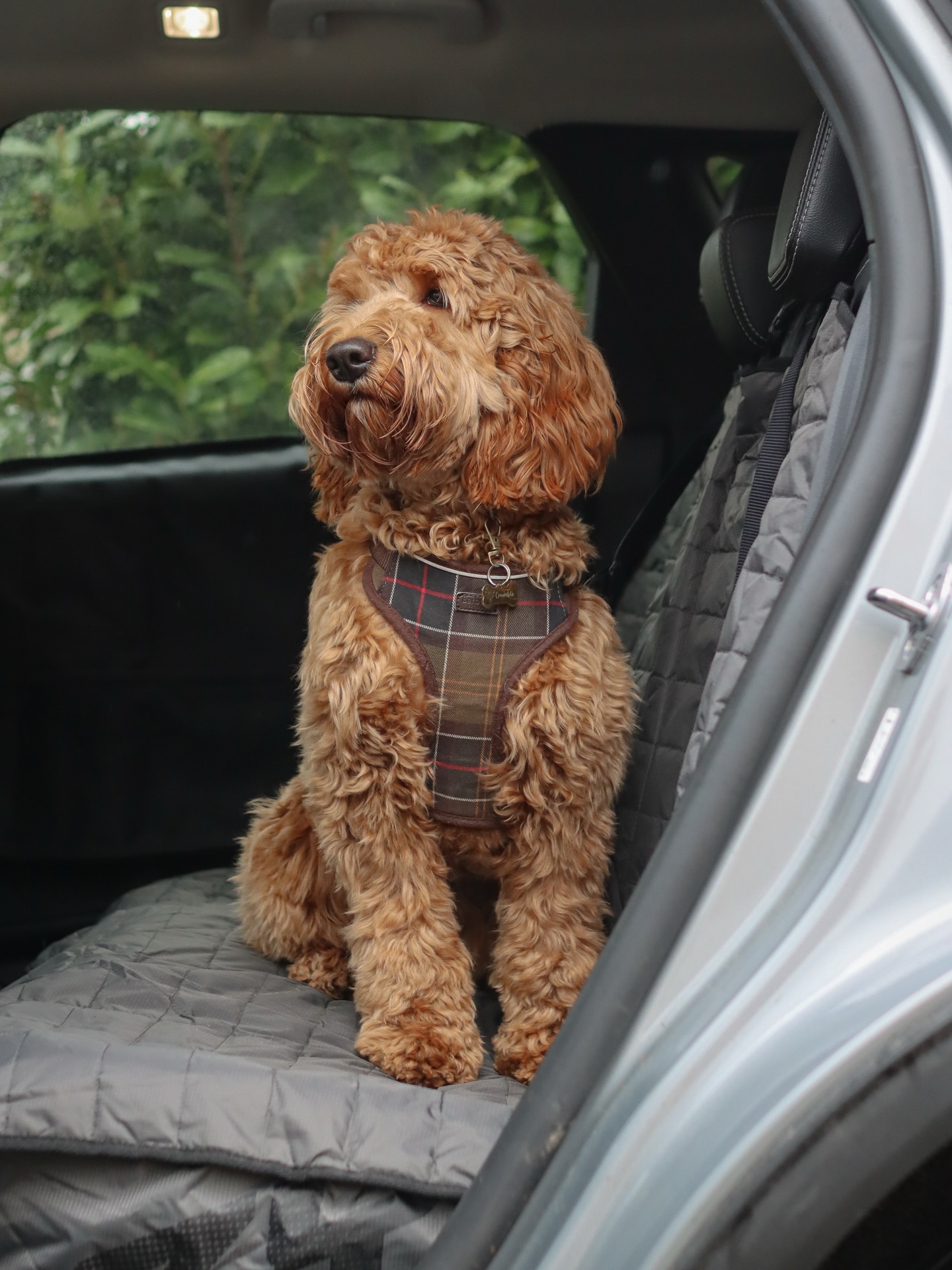 Quick life update because you might’ve noticed we’ve gone a bit quiet…
Both dogs were with us (Chester & Crumble) and I’m so grateful to say we’re all okay, just very shaken up. 🤍
It’s been a bit of a whirlwind week, the crash sent me into a big flare, and dealing with insurance/police has been exhausting.
The driver hit us, drove off, ditched the car, and fled the scene. The police currently still have my car at a forensics compound while they investigate. (I should be getting an update from them soon) they did give me some information at the scene but I think I was so shocked I can’t really remember what they said!
It’s also looking like she’s going to be a write-off and I’m genuinely heartbroken. I know it’s “just a car” but she was our little adventure wagon, dog trips, muddy paws, the lot. We’ve been so many places with her! 💔
Thank you for the love and understanding. We’ll be back properly when we’ve caught our breath and dealt with all the admin but give your pups an extra squeeze from us today. 🐾
If you’ve messaged and I haven’t replied yet, I promise I’m not ignoring you, just catching up slowly.