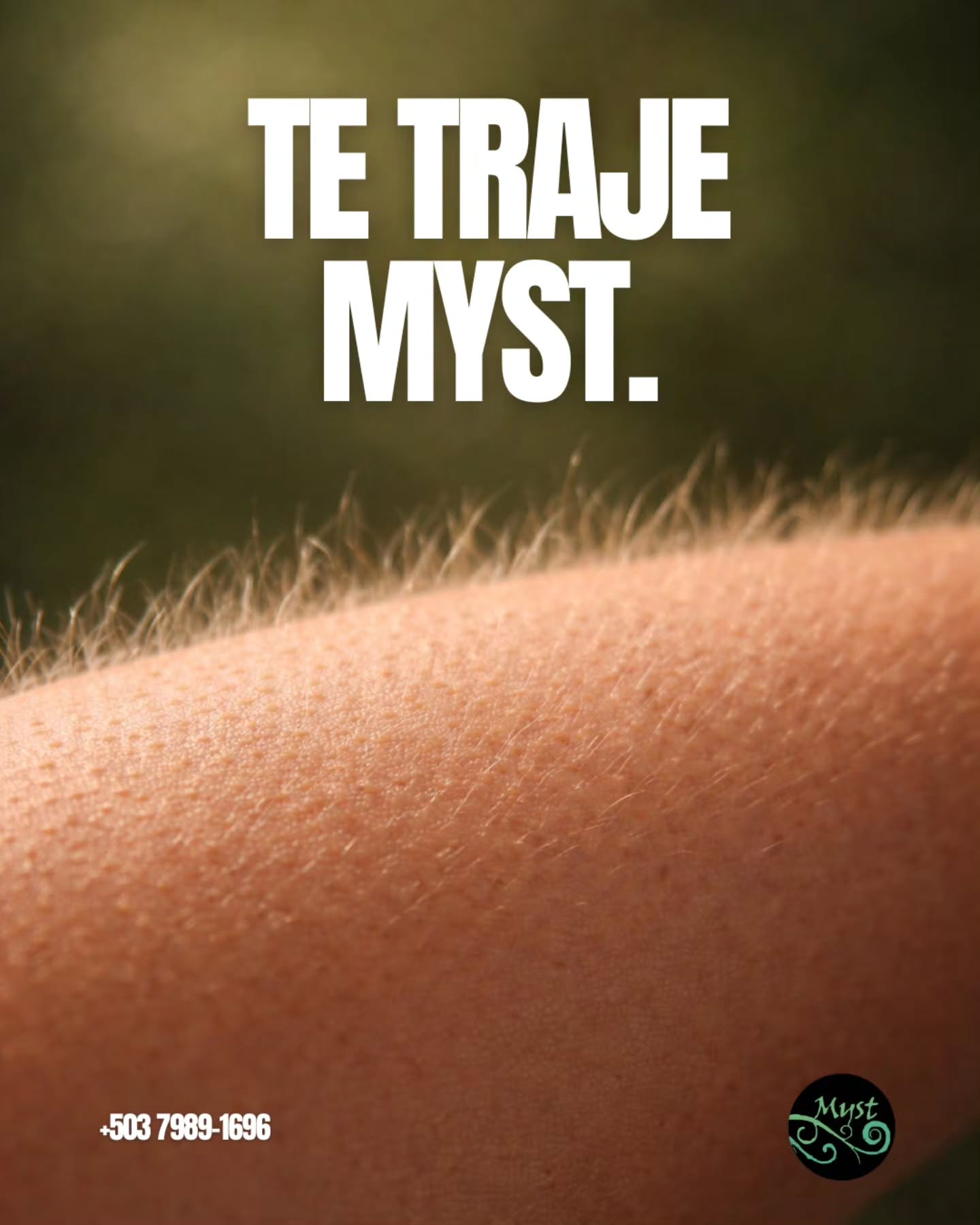 POV: Llegan con Myst