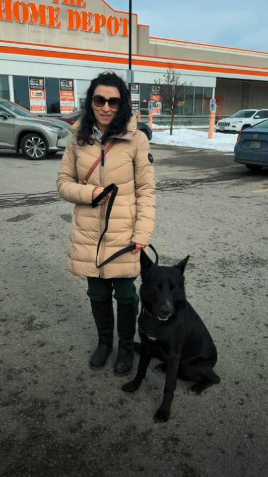 Rex Training With His Owner 🐾
One of the most important parts of successful dog training is making sure owners are confident handling their dogs.
In this session, Rex is working directly with his owner, learning proper communication, structure, and consistency before heading home.
This is how training becomes long-term success.
When owners are involved, dogs stay balanced, responsive, and reliable in real-life situations.
Great work, Rex and Maya 👏
📩 DM us to start your dog’s training journey today.
📍 24 Pillar Rock Crescent, Markham, ON L6C 3H4, Canada
📞 (647) 425-4838 / (647) 807-8761
🌐 www.benridgecanineservices.com
#DogTraining #BenridgeCanineServices #DogObedience #ProfessionalDogTraining #DogTrainingMarkham