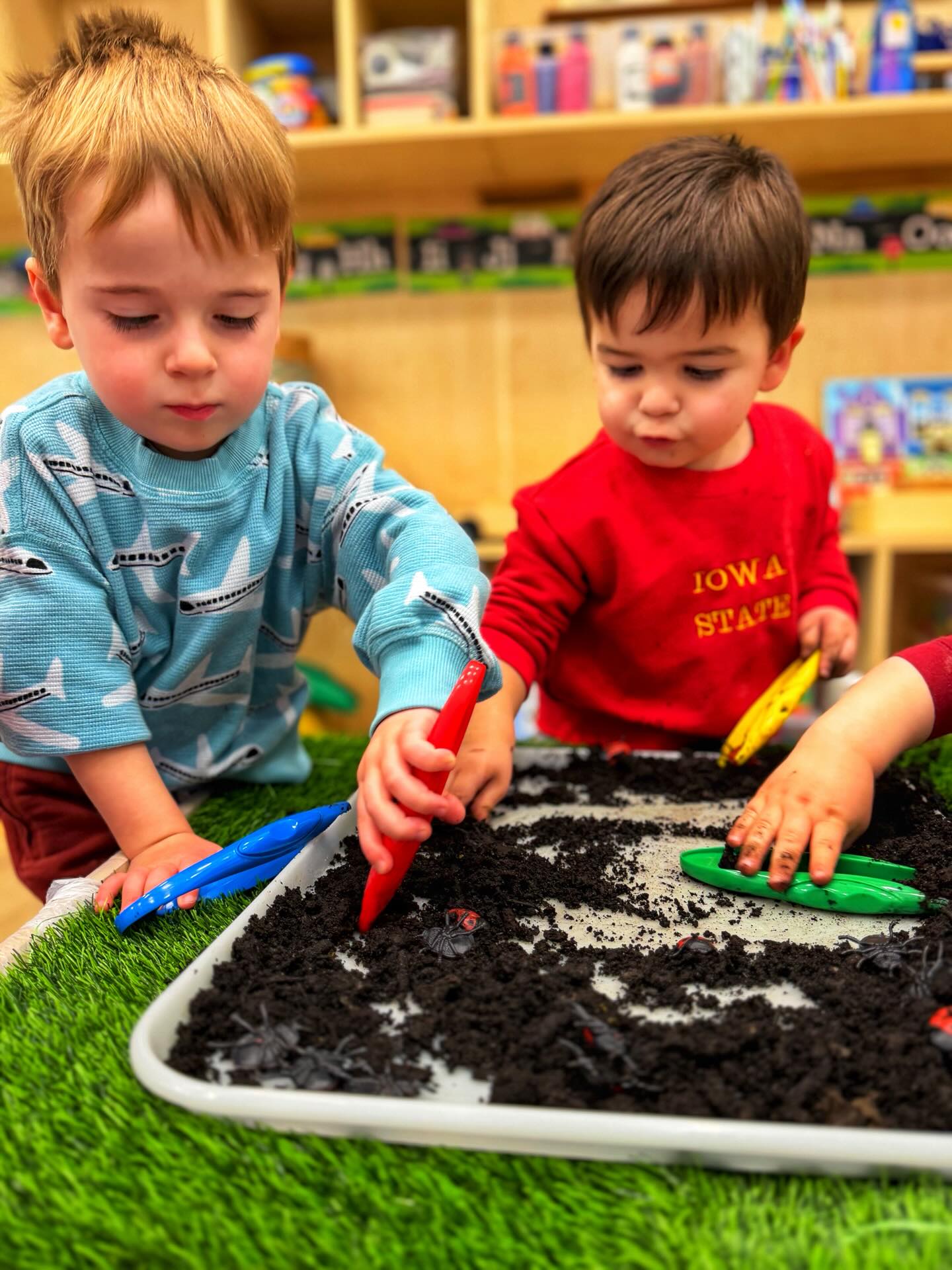Mariquitas por doquier! 🐞✨
Happy Thursday! Today we were all about mariquitas! During circle time we talked about the parts of a ladybug and practiced tracing the letter M for mariquita on the board.
One of our favorite activities was at the light table. Using the red light, the kiddos searched for numbers 1–10 on las manchitas and matched them to the ladybug by counting the dots on each wing. Lots of counting, teamwork, and of course finishing with our number song. 🎶
the fun continued! We made our own ladybug crafts with paint and glue, practiced counting while building ladybug wings, and went on a ladybug hunt🕵️♀️climbing through the tunnel to find ladybugs and match them with their leaves. 🍃🐞
And We got our hands busy looking for and exploring las mariquitas hidden en la tierra!
Safe to say… there were mariquitas everywhere today! 🐞💕