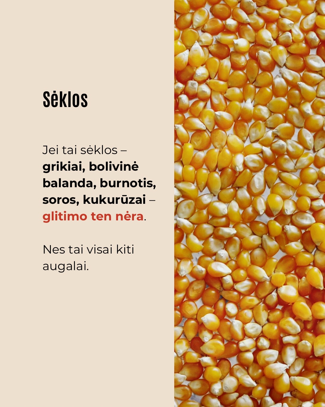 Karuselėje dalijamės labai paprastu būdu prisiminti, kurios kruopos turi gliuteno, o kurios – ne.
Sudomino? Sekite šią paskyrą, jei norite daugiau tokių patarimų ir receptų.