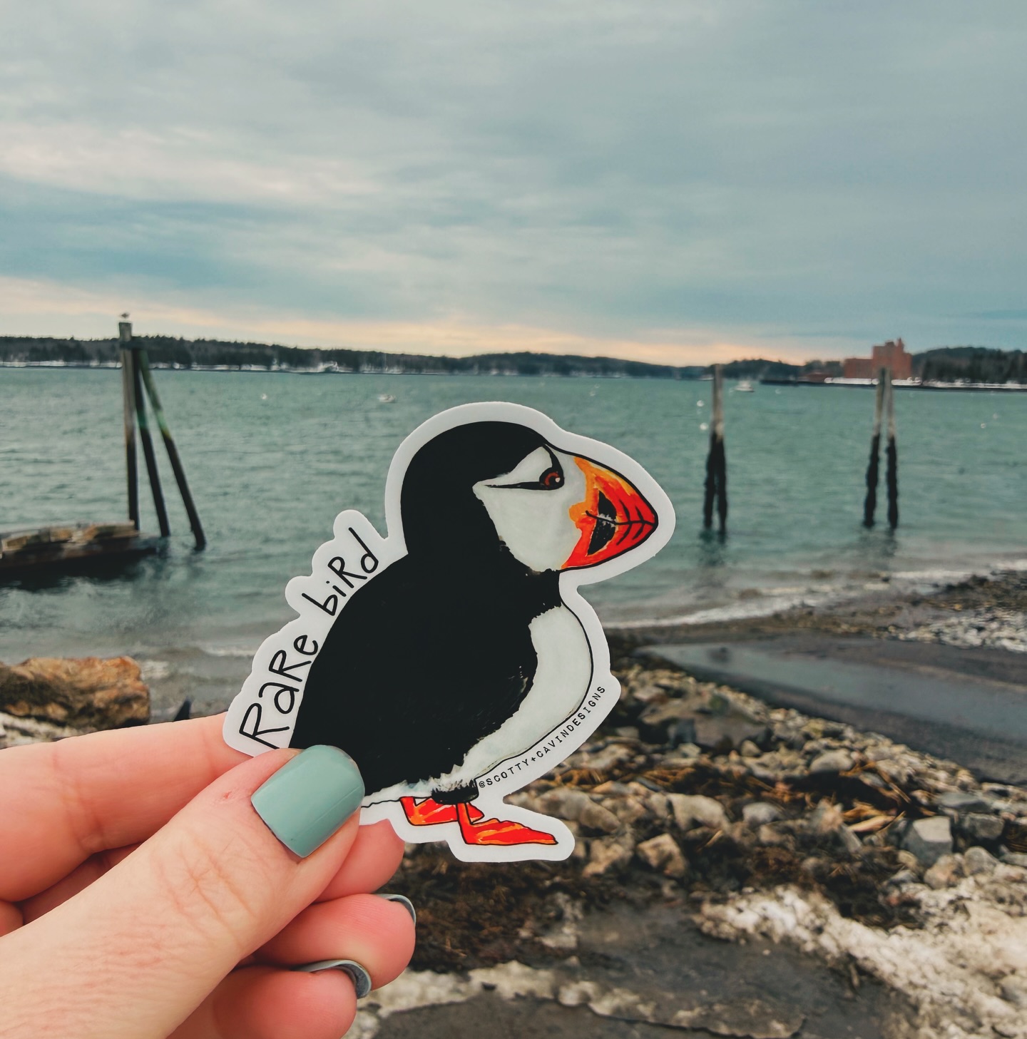 Rare Bird sticker was spotted somewhere in Maine today 🐦 🤩 Anyone want to guess where we were!? Drop your guesses below!👇🏻
👉🏻Artisan made stickers + candles
👉🏻Available wholesale + retail
👉🏻Weatherproof (dishwasher safe, waterproof, UV resistant)
👉🏻Scratch resistant
👉🏻Maine Made
#mainething #visitmaine #exploremaine #mainemade #mainelife