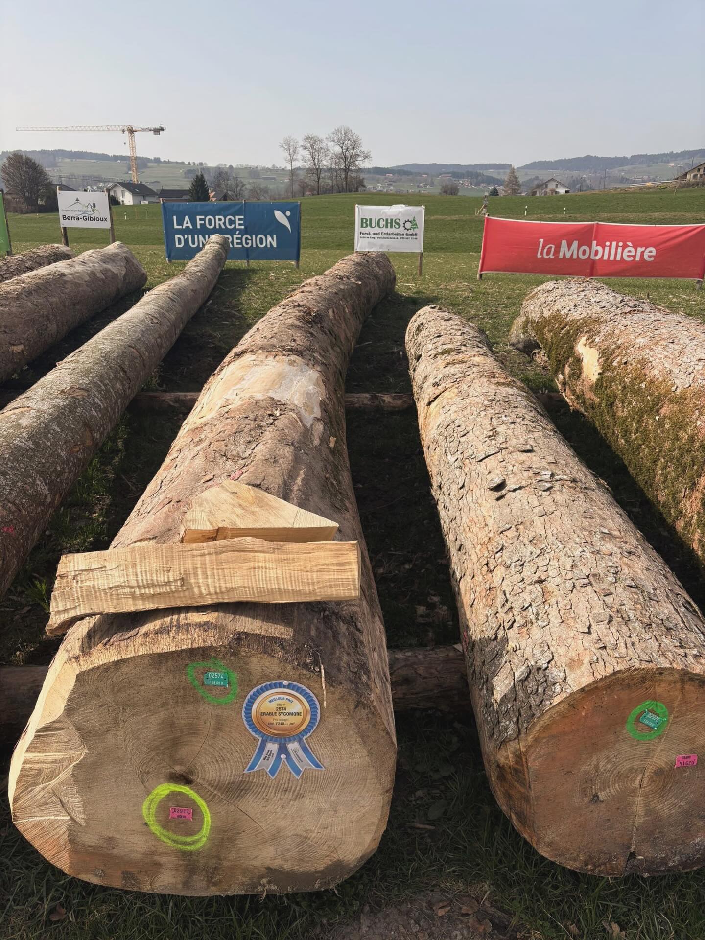 | ๐ฌ๐จ๐ฒ๐ค ๐ฃ๐ค๐ฒ ๐ก๐ฎ๐จ๐ฒ โฒ ๐ค๐ข๐ง๐ ๐ฑ๐ซ๐ค๐ญ๐ฒ | Siehst du uns? โป
#sponsoring #forst #holz #gruyere #buchsforst