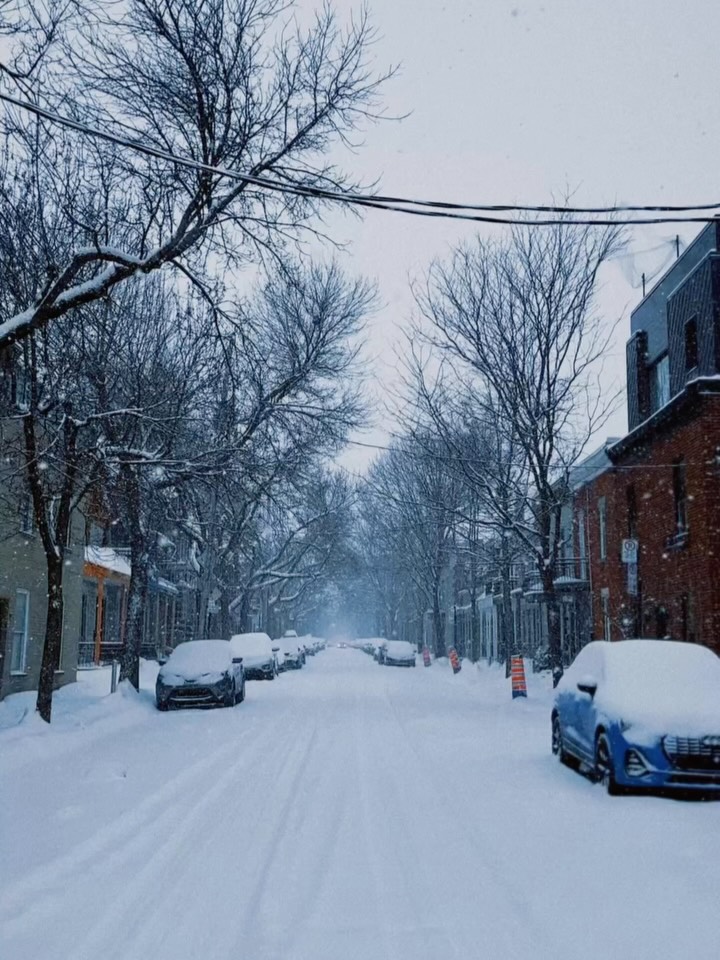 ちょうど一年前、カナダを発つ日の朝。
文字通り昨日のことのように思い出せる。
それから一年、イギリスの港町。
いつもの曇天が嘘かのように晴れた。
こんなに気持ちのいい日は久々すぎて、2時間も日向ぼっこをしてしまった。
#Folkestone #uk #montreal #canada
