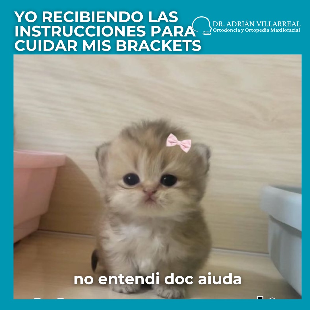 ¡No te preocupes! 😂 Sabemos que el primer día con brackets es mucha información nueva.
Pero recuerda: estamos aquí para acompañarte en cada paso. Si olvidaste algún cuidado o qué no puedes comer, ¡mándanos un mensaje! 📲
✨ Lo más importante es que tu tratamiento sea un éxito.
.
.
.
.
.
.
.
.
.
.
UANL Ced. Prof. 12948881
UANL Ced Maestria: 14532598
COFEPRIS: 2419032002A00440
.
.
.
#dentista
#odontologo
#brackets
#dentistasanpedro
#ortodonciamty