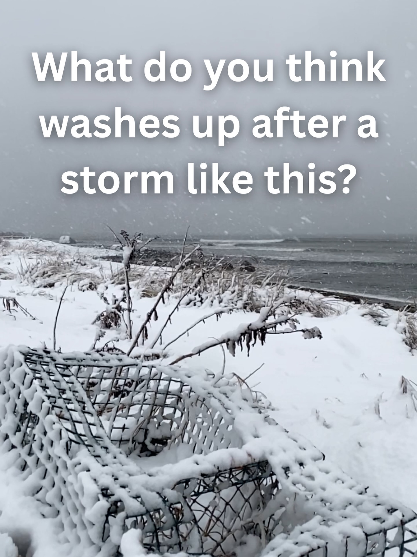 Be safe everyone! 💙