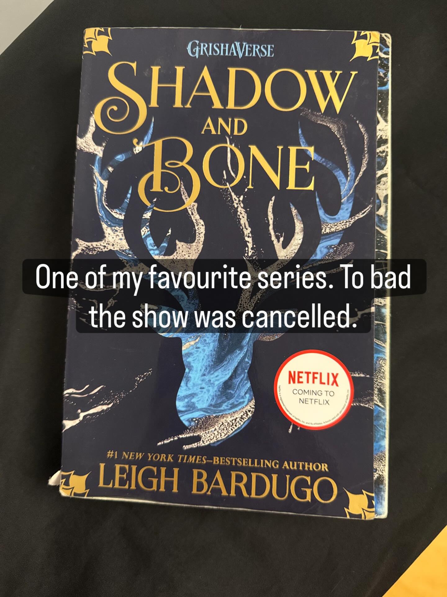 Shoutout to one of my favourite series.
Wish they would have continued the tv series.
#shadowandbone #greahaverse #bookcover #reading