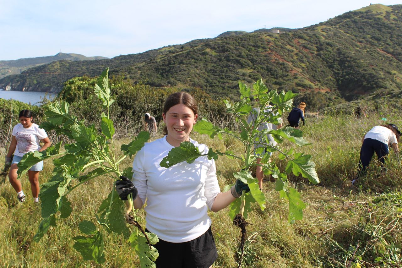 Our first week of programming was a great success! Thank you to all our students who showed up filled with joy and enthusiasm. We had unseasonably warm temperatures making February feel like summer! Students had fun helping the Catalina Island ecosystem through removal of invasive black mustard plants. 🌿☀️🌊