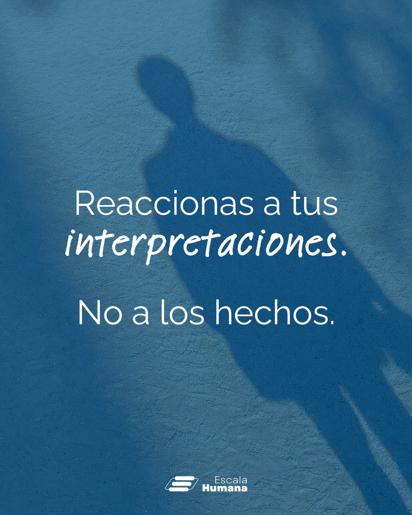 En el trabajo (y en la vida) solemos creer que reaccionamos a lo que ocurre: una decisión del directorio, un correo, un feedback, un cambio de estrategia.
Pero en realidad, reaccionamos a la historia que construimos sobre eso 🗣️.
💭 Esa interpretación define tu emoción. Y tu emoción define tu manera de responder.
En organizaciones, esto tiene impacto directo: cambia el clima, la coordinación, la calidad de las conversaciones y la velocidad de los acuerdos. Dos líderes pueden enfrentar el mismo hecho y producir resultados completamente distintos, según cómo lo interpreten.
🛠️ Desarrollar la capacidad de diatinguir hechos de interpretaciones es una competencia profesional. Formarte como coach te entrena para observar tus juicios, gestionar el estado emocional desde el que actúas y elegir respuestas con mayor claridad y criterio 🌱.
💬 Te dejamos con esta pregunta… ¿Qué resultado diferente podrías diseñar si cambiaras la historia que te cuentas?
#consultoria #coachingorganizacional #CoachingOntologico #liderazgo