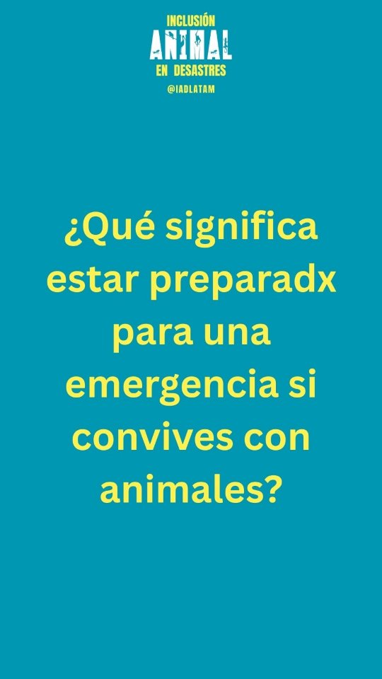 Para solicitar el checklist de kit de emergencias para animales escribe CHECKLIST en los comentarios y te lo enviaré para que puedas empezar a preparar tu hogar hoy!
#iad #iadltam #inclusionanimalendesastres #animal #mascotas