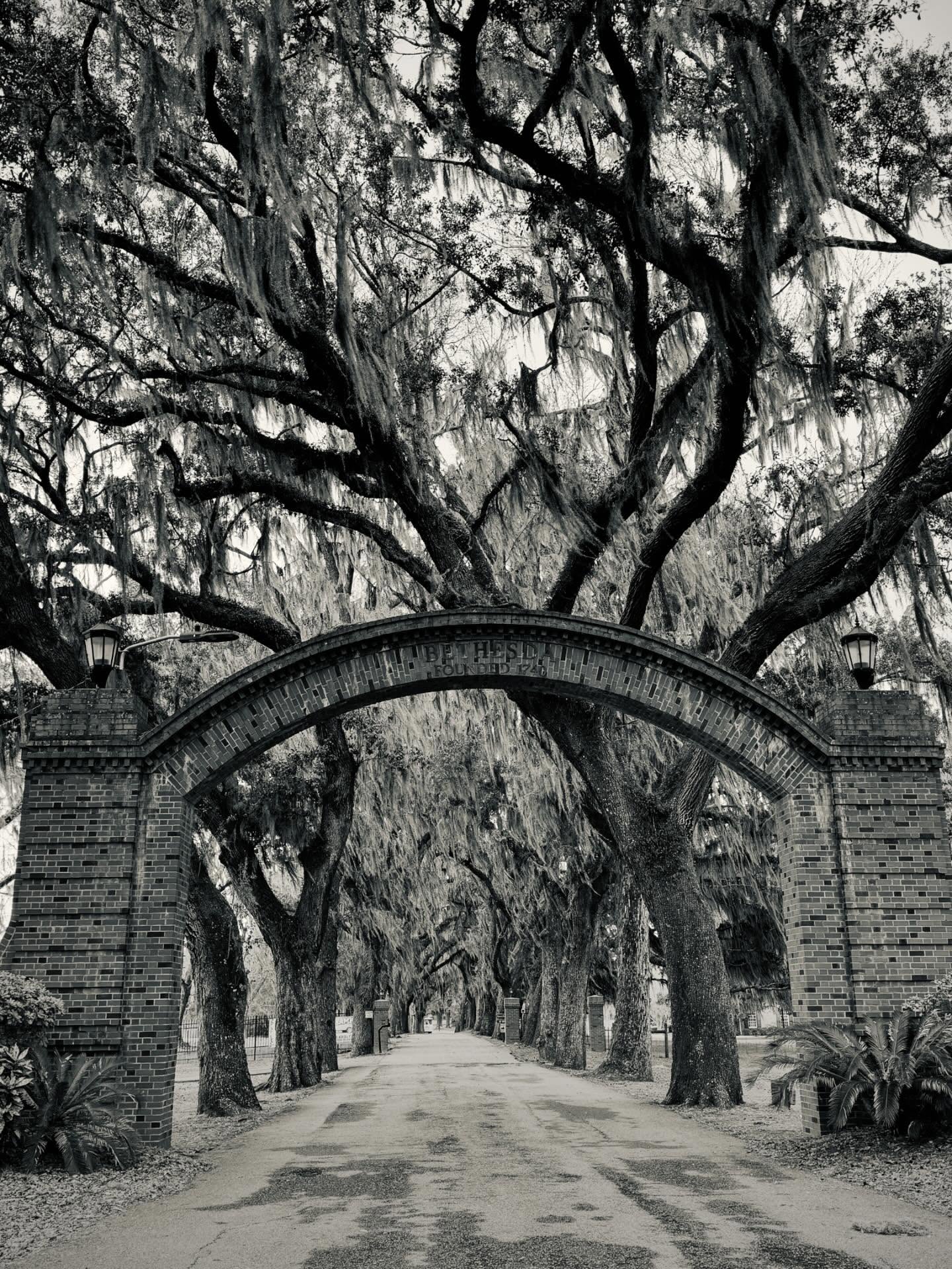 SAVANNAH, SKIDWAY ISLAND & ISLE OF HOPE…. you hold beauty that is cloaked with a fabric that is mysterious and ethereal….. as always, thanks to the Dunning’s (David, Betty, Sam & Alina) for having us for our annual migration to share the unending love of Jesus in word and song with your Faith Harvest family….. far too short of a visit, but it’s hard to keep Heidi’s foot off the accelerator when grand babies are 509 miles away. LOL. #savannah #georgia #isleofhope #skidwayisland #jesusmusic