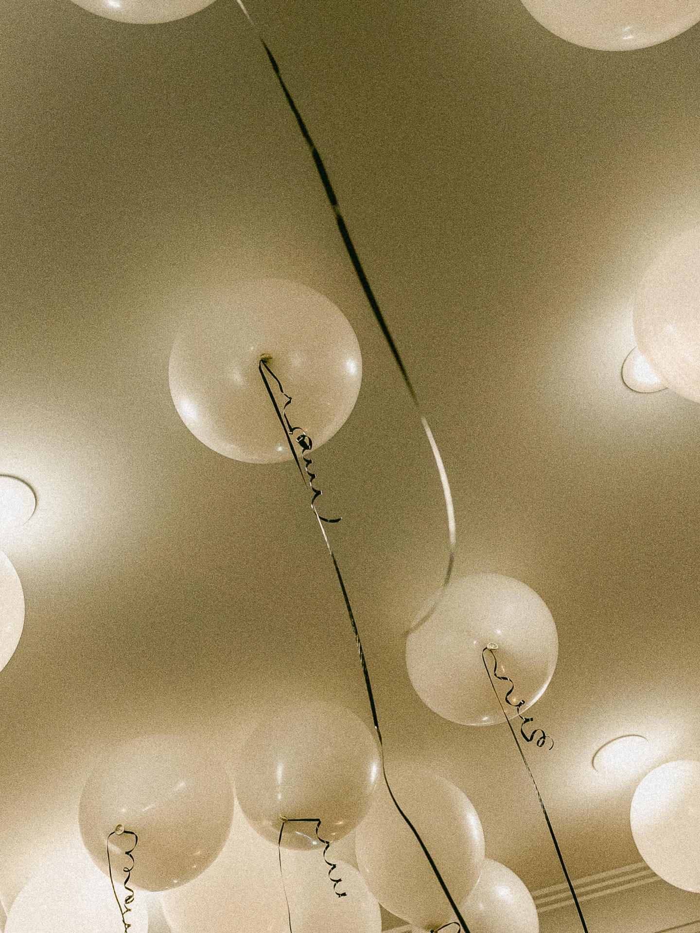 🤍
Photography & Cinematography: @sollisstudio