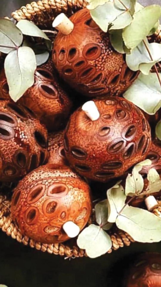 Transforming sterile spaces into therapeutic environments, one Banksia pod at a time. 💚✨ Great for therapists or a loved one in settings where there can be risk policies.
#TherapyGoals #NaturalHealing #therapytips #therapisttoolkit #thekaleidoshop