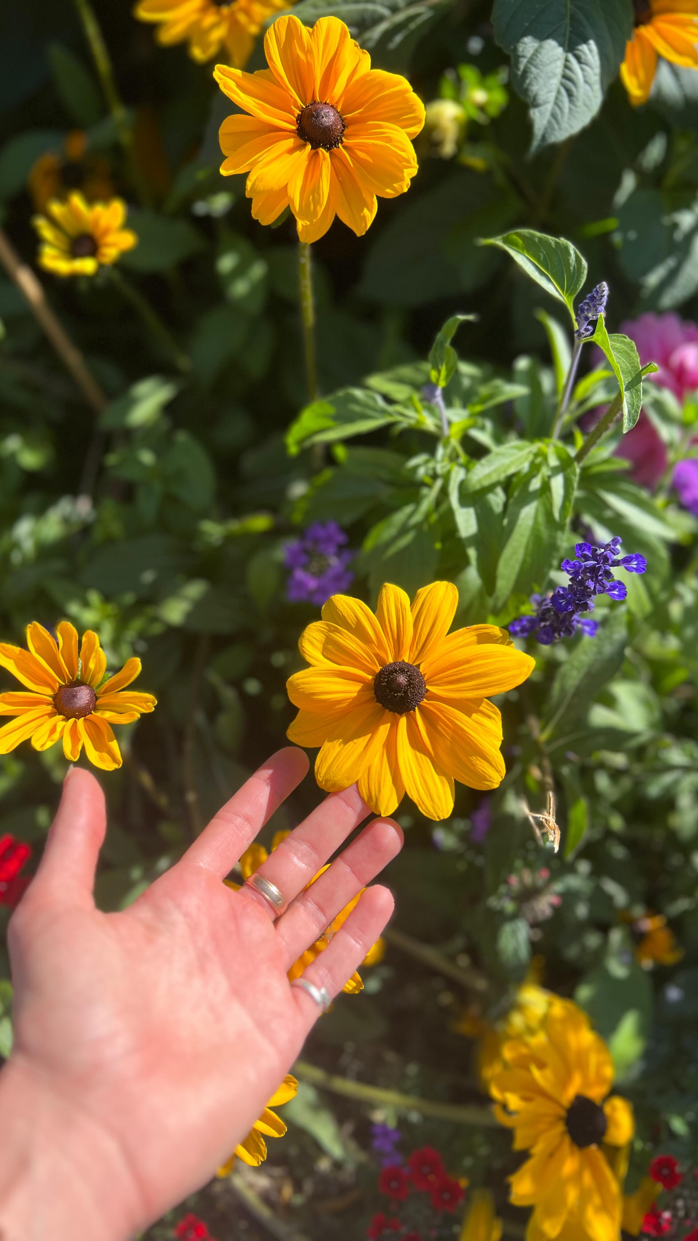 We love a slightly uneventful but very fulfilling week 😌🌼