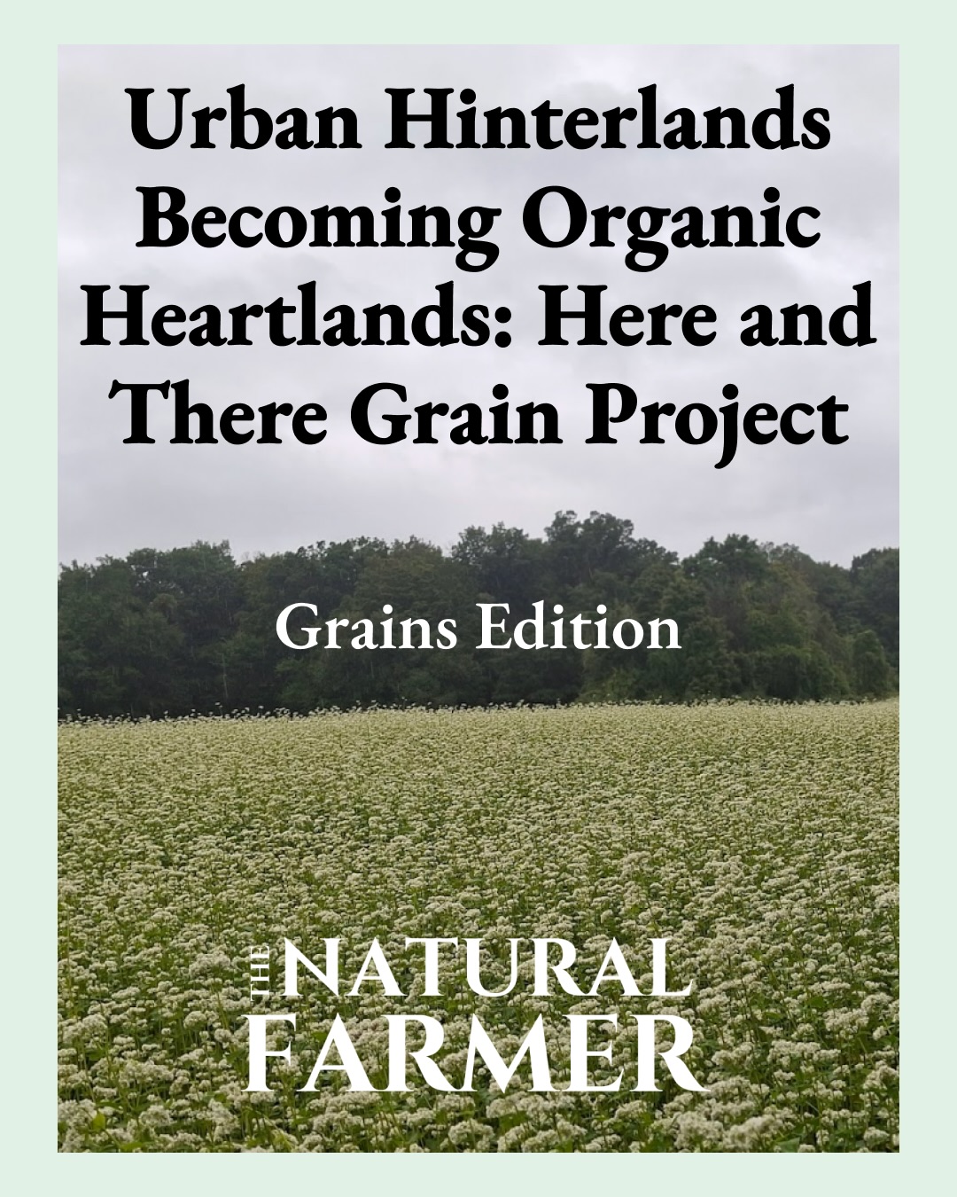 🌻We’re excited to announce that our recent winter 2026 Grains edition is now available for digital enjoyment on our website at thenaturalfarmer.com! (linked in bio)
This edition, titled Small Grains and Pulses, features a collection of spectacular articles from growers, bakers, and organizations focused on producing ecologically friendly grains in the northeast and beyond.
🚨We are also still accepting article submissions for our forthcoming edition Women in Agriculture. The deadline to submit is May 1st and compensation is available!
.
.
.
#NOFA #TheNaturalFarmer #OrganicFarming #RegenerativeAgriculture #Grains