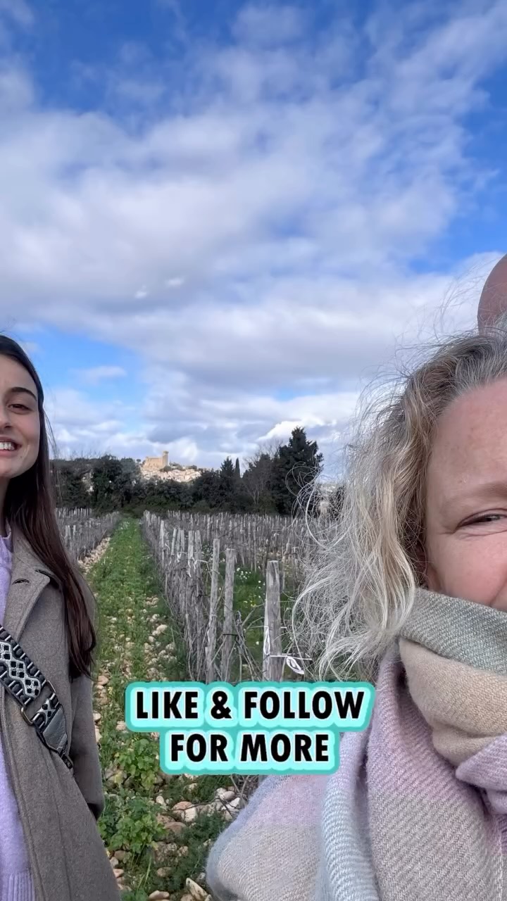 Rondje Rhône-vallei, op bezoek bij nieuwe domaines in de Rhône-streek.
Begonnen in het uiterste zuiden bij domaine d’Olivier. Daarna hallo zeggen bij Demoiselle Suzette en genieten van het uitzicht en zijn eerste Gigondas. Les Grandes Serres heeft een hele mooie Cairanne en hele vette labels. Witte Châteauneuf-du-Pape en een rode uit 2016 van Domaine des Pères de l’Eglise.
Dan weer omhoog naar het noorden… Bij Domaine Belle maken ze onder andere hele verfijnde Saint-Joseph en Hermitages. Last but not least Domaine Parpette. Een domaine met kleine oplages Condrieu en Côte-Rotie.
En dat was nog niet alles. Volg ons en blijf op de hoogte van alle het Rhône-wijn nieuws van Arphine wijnen.
#wijnreis #chateauneufdupape #gigondas #hermitage #condrieu