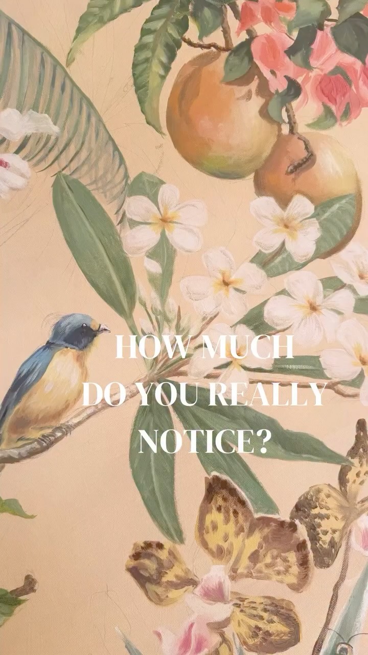 How much do you really notice?
Life is crazy busy, stress is overwhelming, and we are stuck in these screens so much we can’t look outside our heads. But doing so is so important. In times like this when there is so much ugliness in the world it’s important we look for the beauty .
It’s everywhere, and finding it helps us feel grateful to alive
Look for the beauty this week - really notice what’s around you. It will also interrupt the ticker tape in your head. It may just transform your week
Sus x
All drawings by me