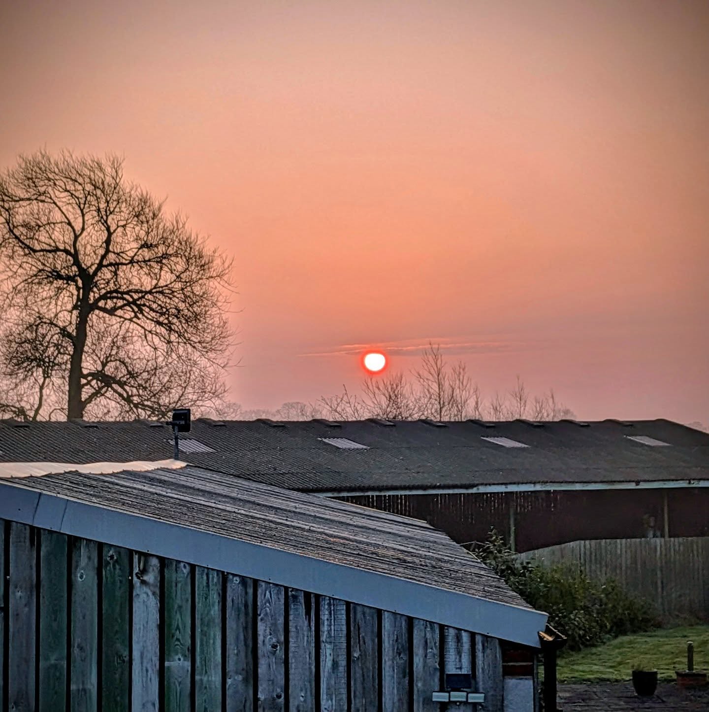 Today's highlights:
sunrise, a playful hare, and our new vase from @aldiuk.
#shropshire #countryside #bedandbreakfast #SpringVibes