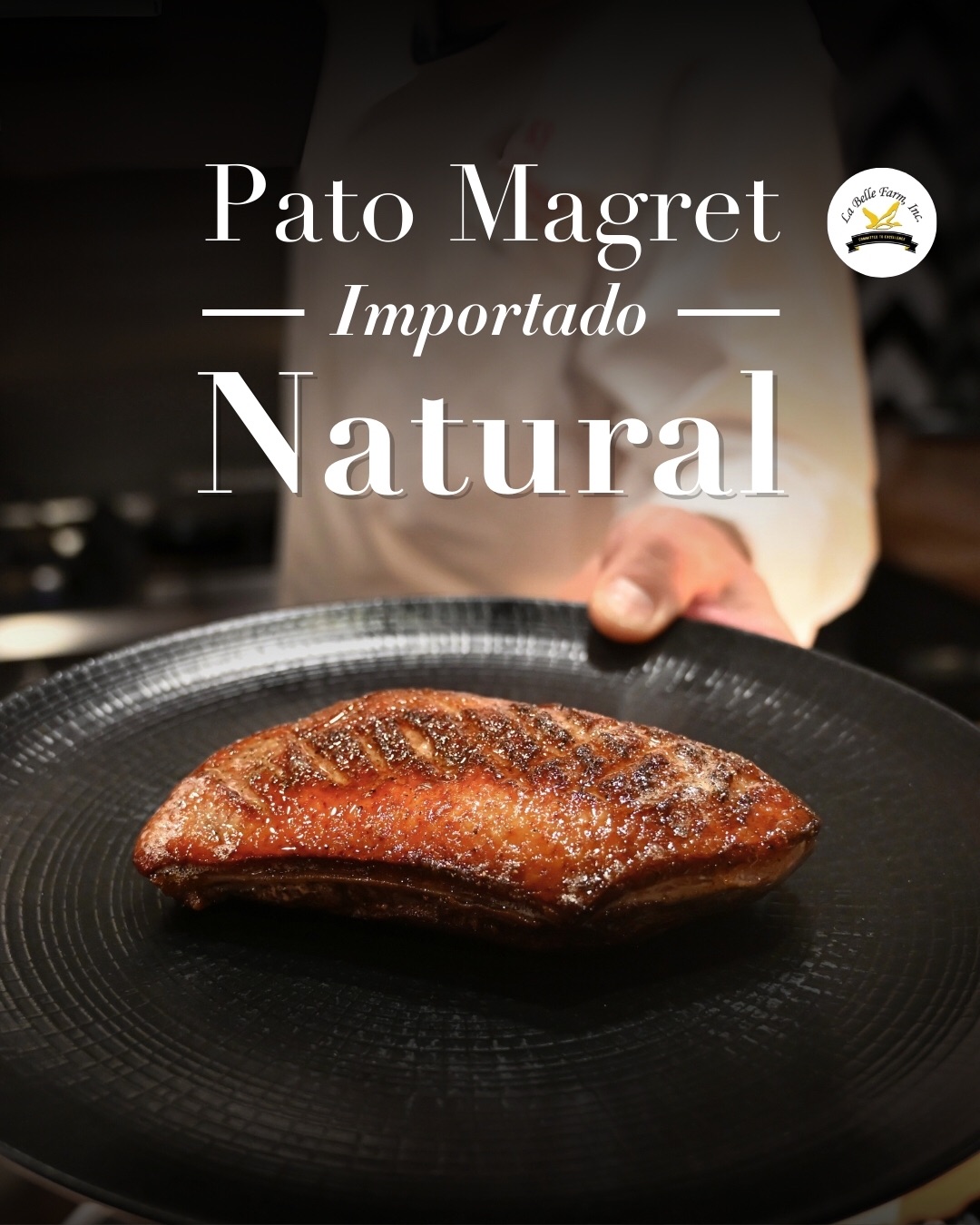🦆✨ Magret Natural | La Belle Farms
Proteína de alta selección con capa grasa uniforme que permite sellado preciso y caramelización controlada 🔥🍽️
Ideal para cocina francesa clásica y propuestas contemporáneas de alto nivel 🇫🇷✨
✔️ Peso aprox. 900 g por pieza
✔️ Corte mariposa
✔️ Empacado al vacío bajo estándares USDA
✔️ Certificación Halal
📲 Solicita catálogo al 55 4958 9947
🔗 Link en bio
#MagretDePato #LaBelleFarms #ProteinaPremium #AltaGastronomía #Gastrosophia