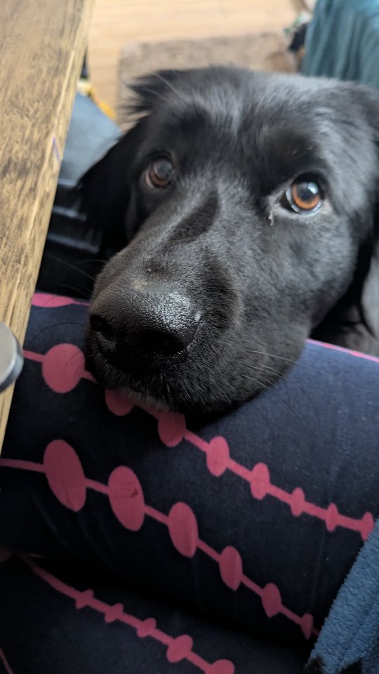 Happy Birthday to our girl Esme. ❤️
I love you!