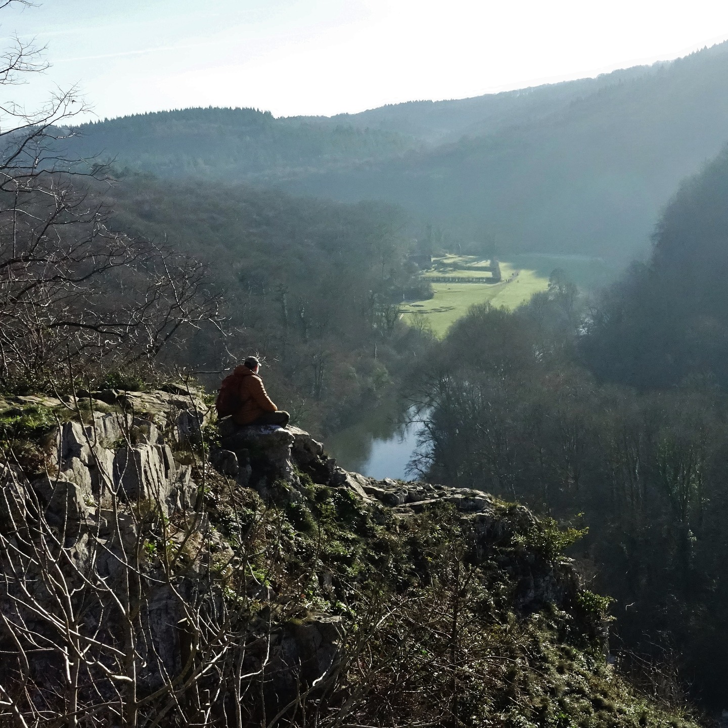 Up on the Seven Sisters in the Wye Valley near Symonds Yat. Down below is the Wye and the Biblins camp, and not far behind is Arthur's Cave. This limestone bluff must be one of my favourite view spots in the catchment. Looking the other way west, it's equally as inspiring. #wye #wyevalley #woodland #limestone #exploring #nature