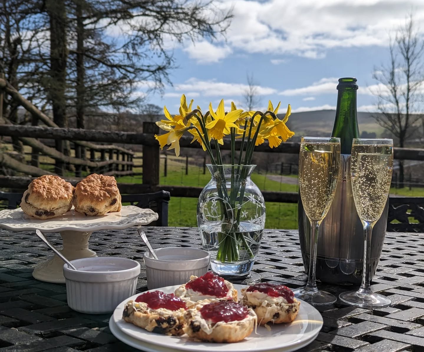 Spring afternoons done right. 🌼 Now we just need the sun to put in an appearance 😬
.
.
#holidaycottagesuk #springvibes #dartmoorholidaycottage #cottageholidays