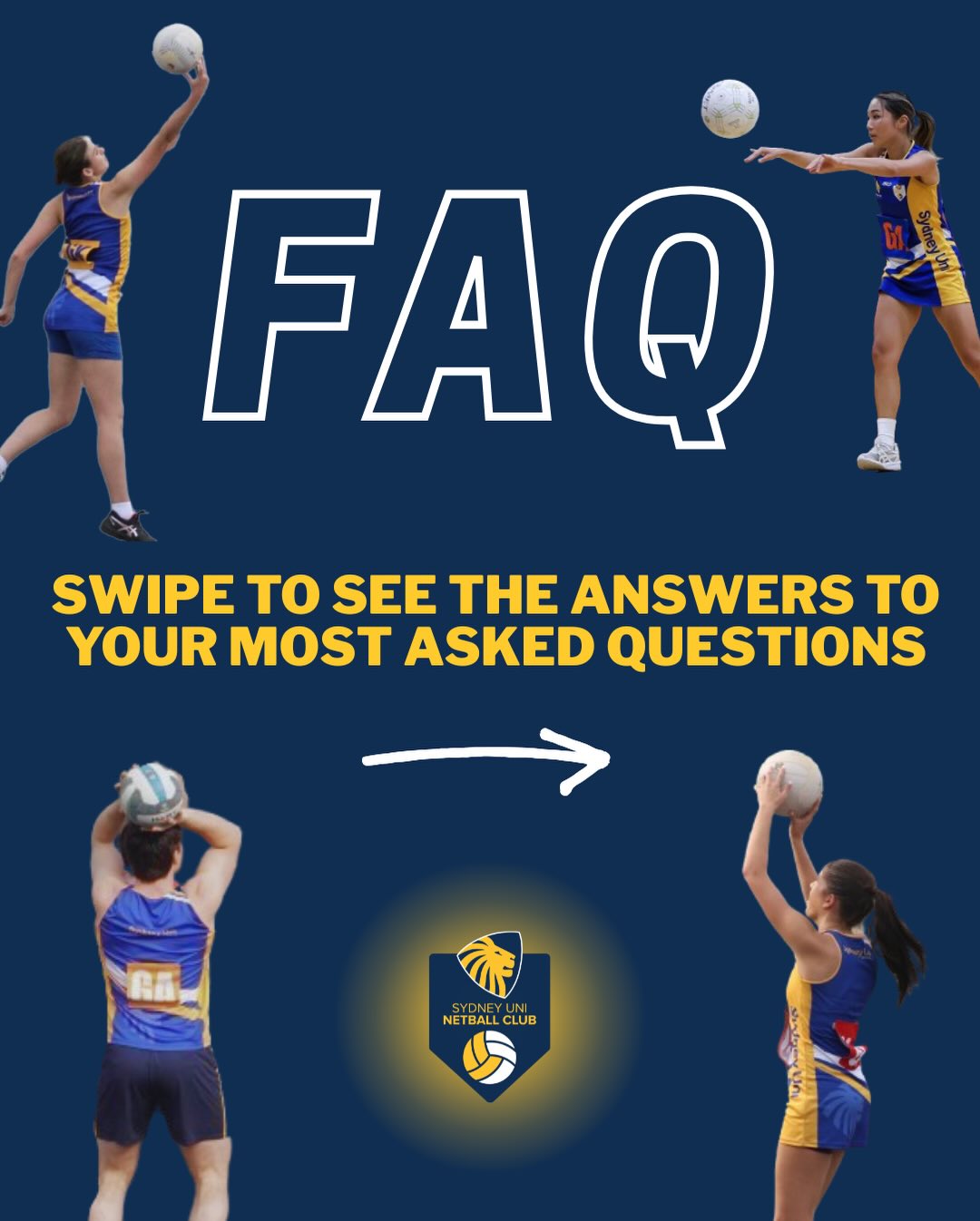 Have a look through our FAQ’s! If you find yourself still asking more, send us an email or DM! 💛💙 #rawr