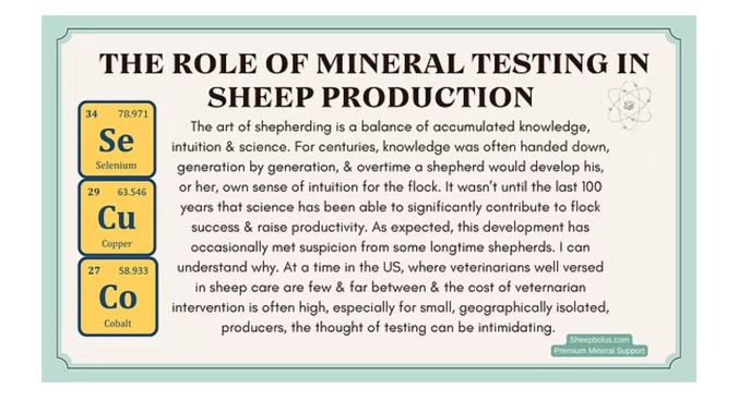 Does it feel like it’s always something else? Always a hustle to keep the flock healthy? If so, I can’t repeat MINERALS enough times. I also can’t tell you enough how much ‘bang for your buck’ mineral testing, alongside a bolus, will provide.
In the long run, they both save flocks money. In a field that already has tight margins, & plenty of heartache when things go wrong, getting minerals right is a game changer.
These slides are from a blog post on the Sheep Bolus website. I go into extra detail on the benefits etc.
This is the time of year to get liver tests done if you process for the upcoming holidays. It’s also the time to get boluses for pregnant ewes & prepare for lamb boluses that will be needed over Soring/Summer.
Have you done any type of mineral testing on your flock, feed, or forage? Whether yes, or no, leave a comment to explain why. Thanks!
#homesteadliving #sheep #ewes #sheepminerals #goatminerals